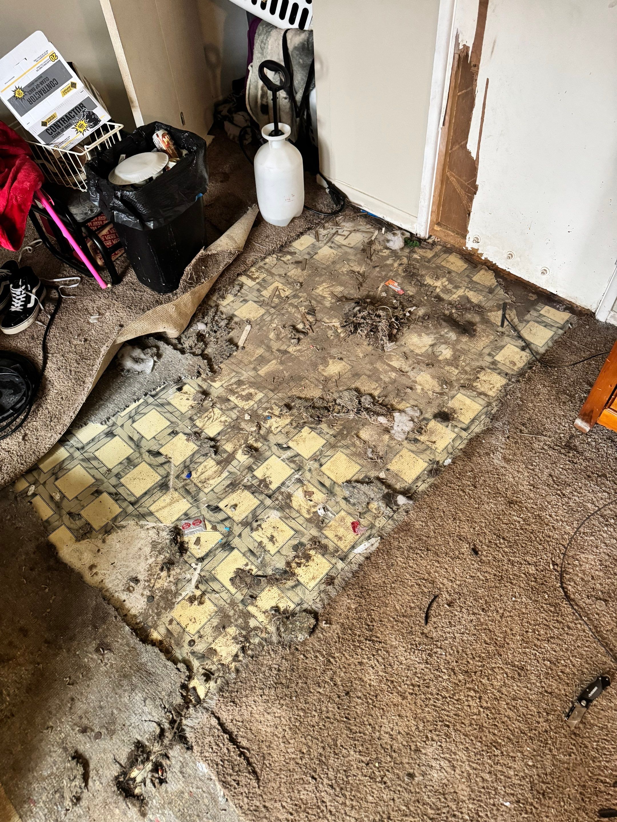 Mold Remediation Project by Chicagoland Water Medics