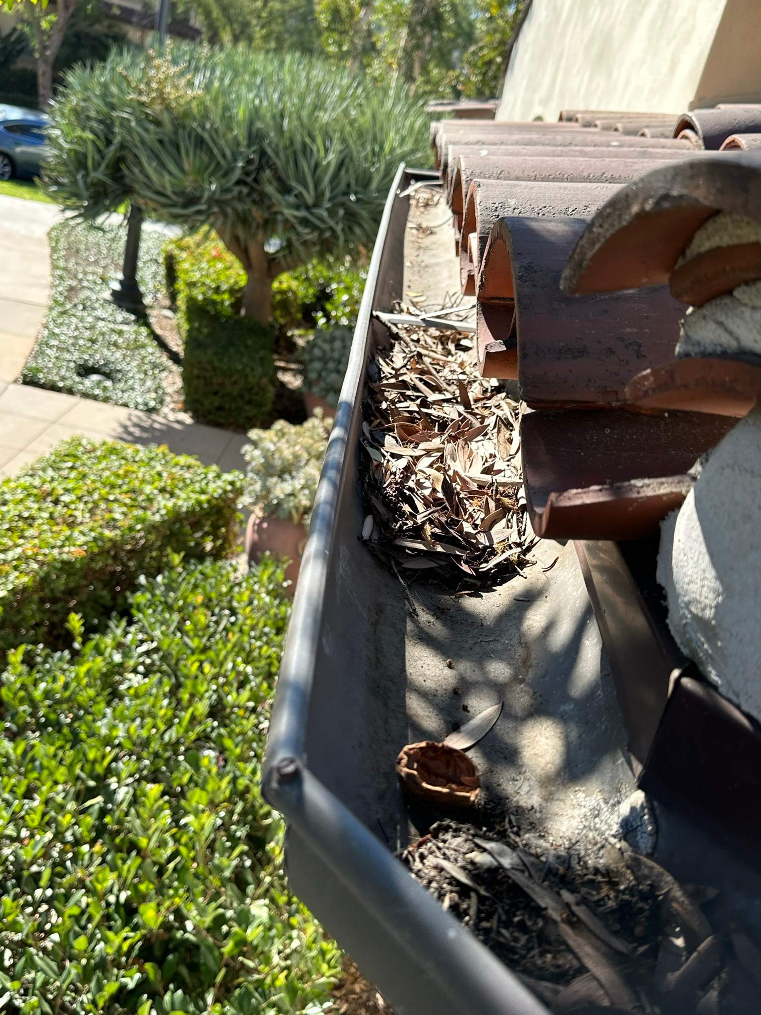 Orange County Gutter Cleaning by Property Cleaning Experts, LLC