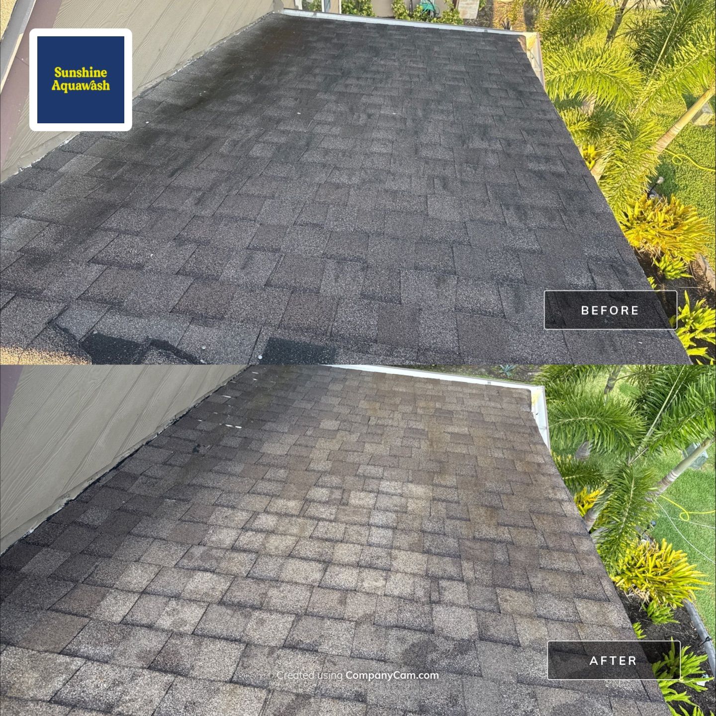 Roof Soft Wash, Pool Deck & Screen Enclosure Cleaning – Trevesta Community, Palmetto, FL by Sunshine AquaWash