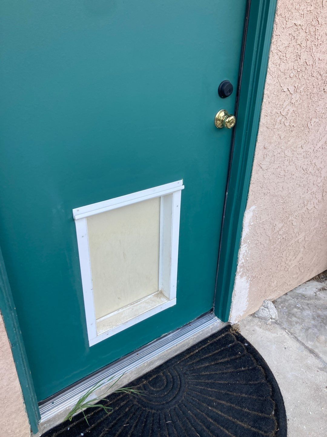Repair Door Face by Andre Handyman