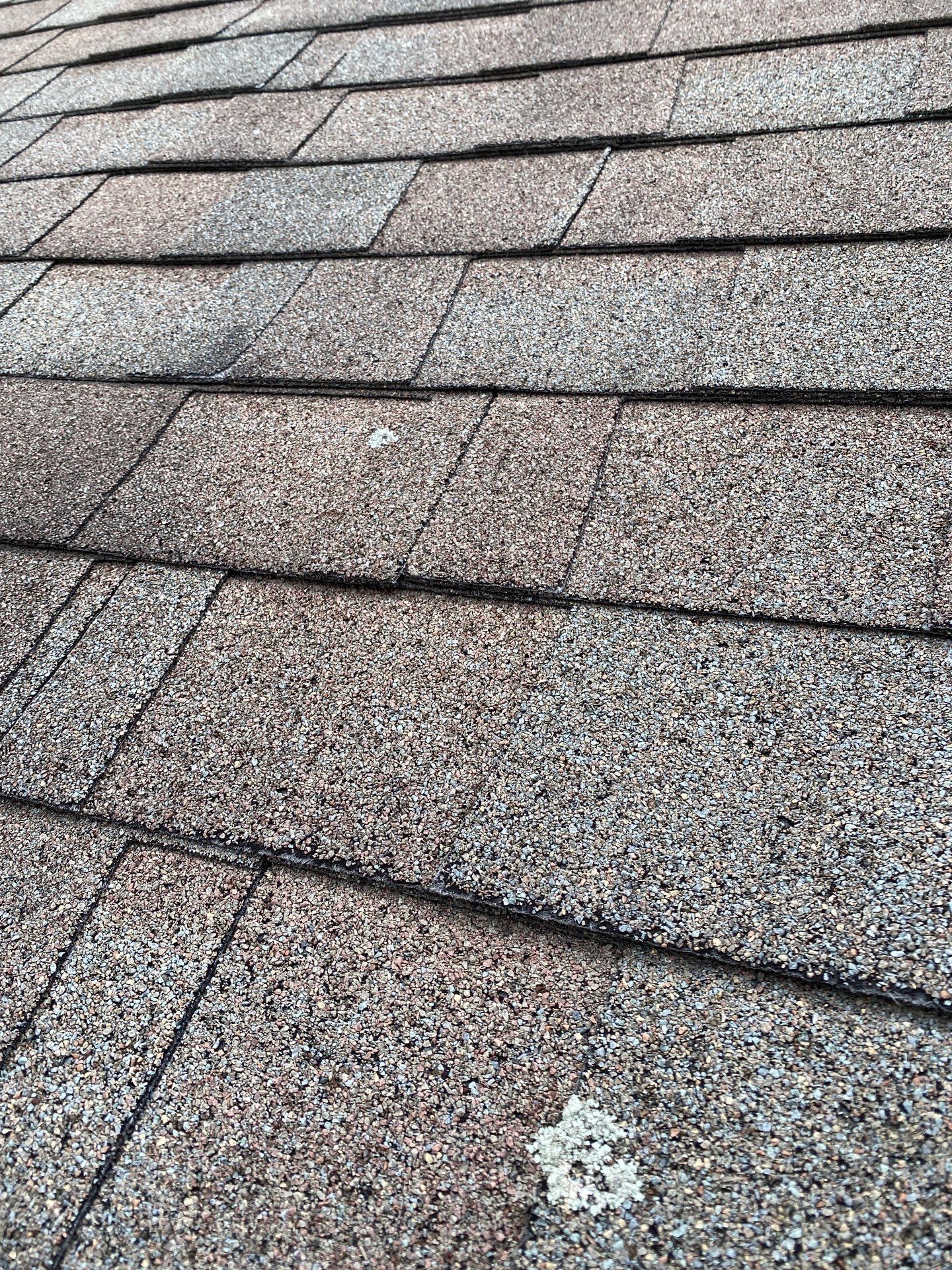 Realtor consult by Mighty Dog Roofing of Greater Middlesex County