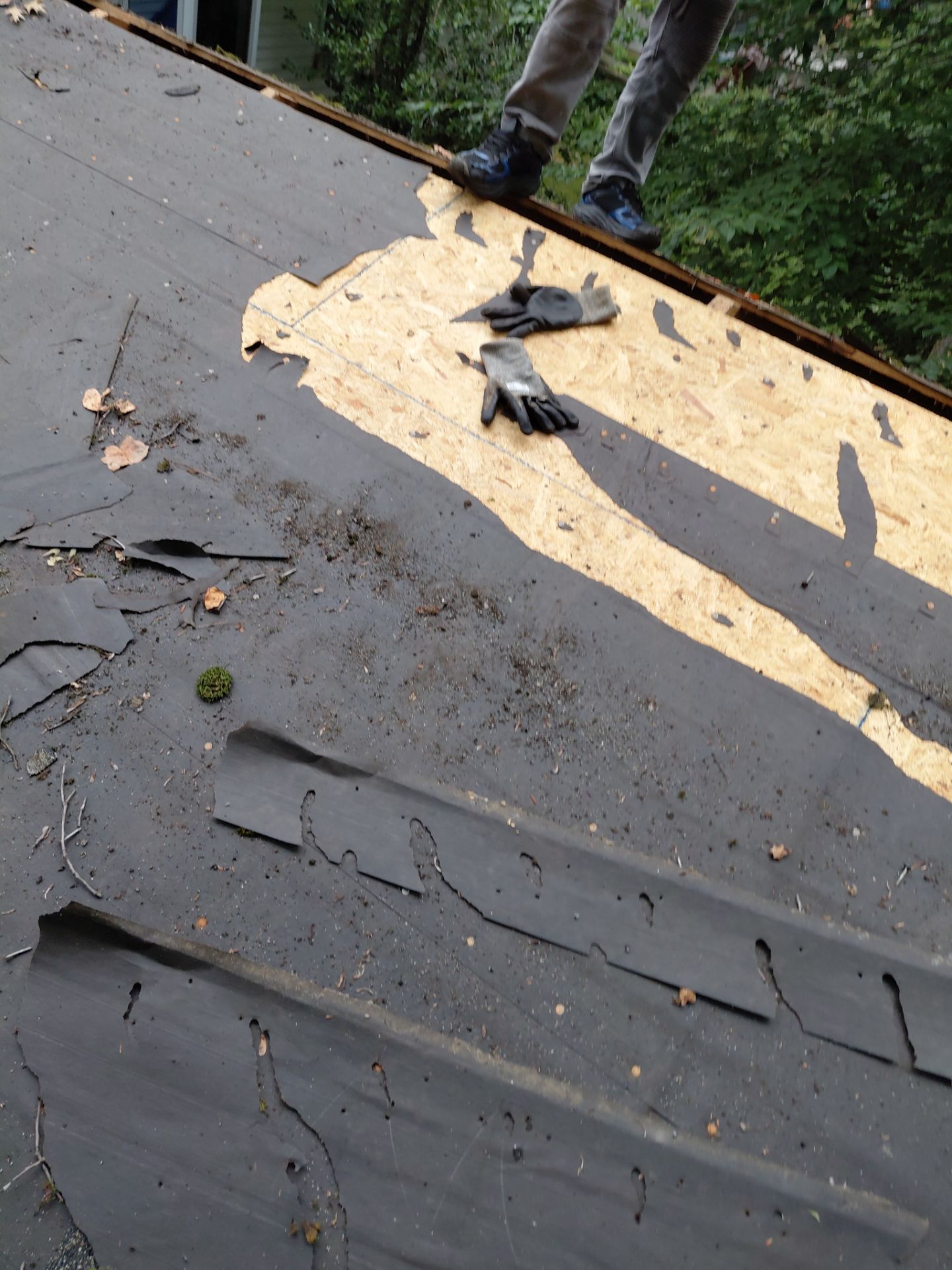 Springfield : with CertainTeed Landmark Pro in Max Def Cobblestone Gray  by RM Banning, Inc.