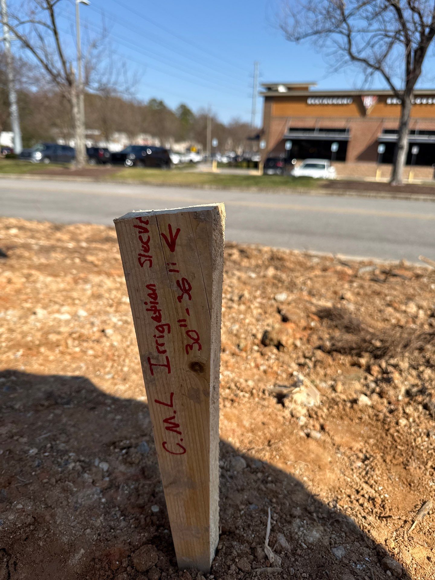 FTB Haribson Bank Project Columbia SC - (Commercial) by Carolina-Metro Landscape, Inc