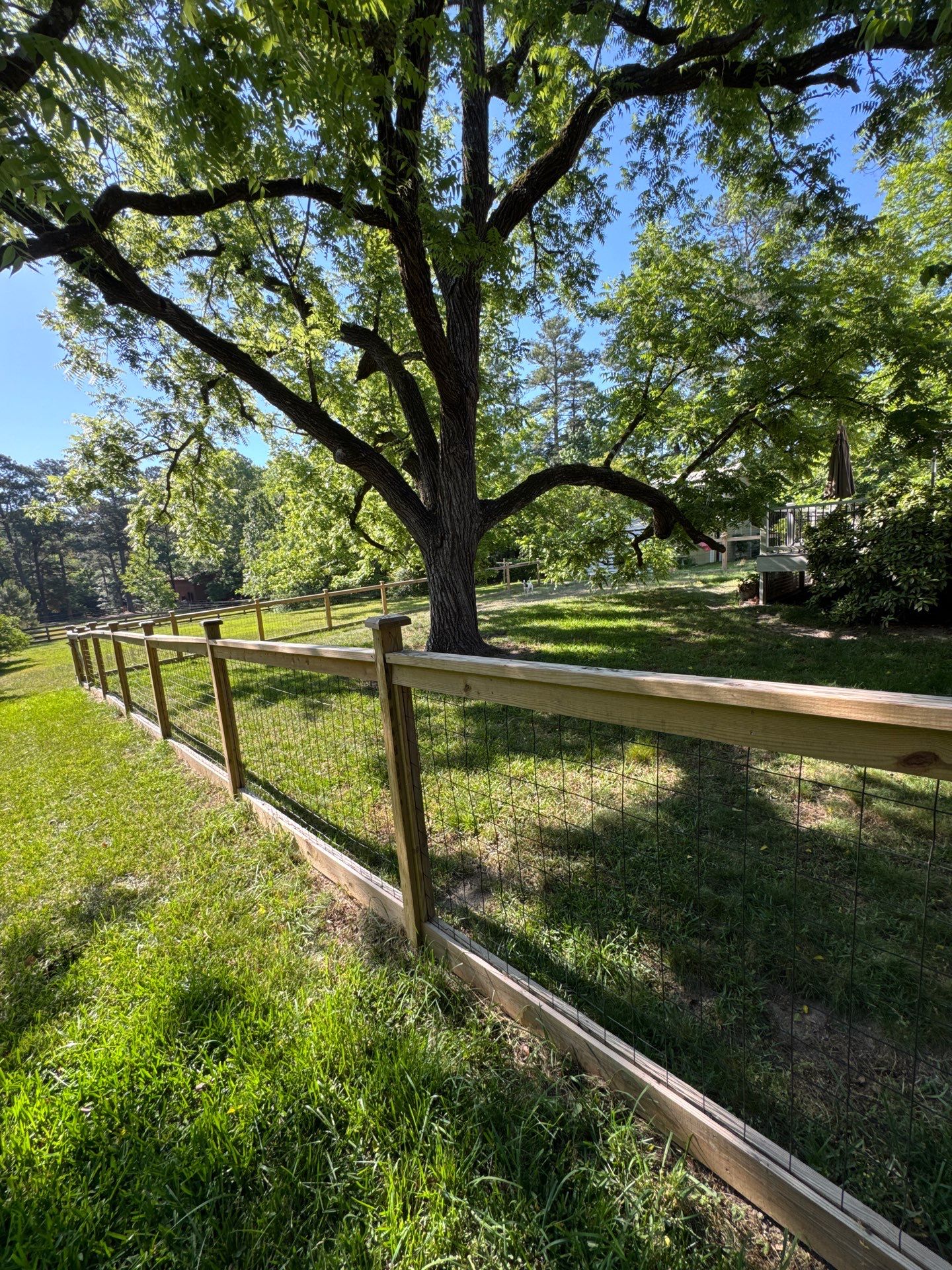 Fence using Wood Sealant by DuraSeal