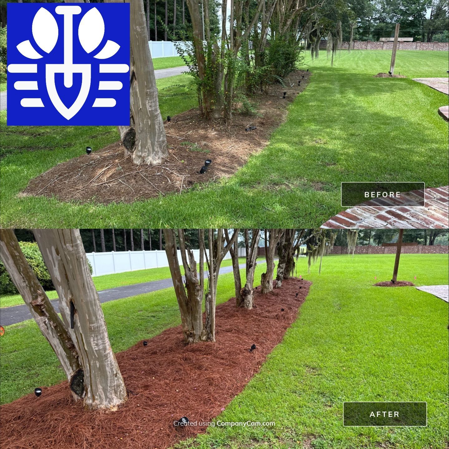 LANDSCAPE SERVICES & LANDSCAPE LIGHTING by CutScape, LLC.
