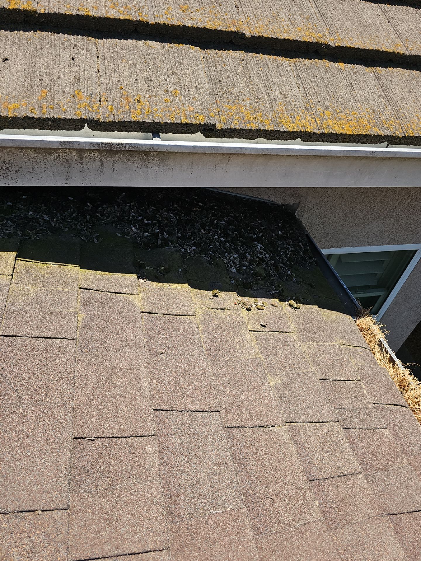 Sunny Oak Dr Turlock  by Econo Roofing