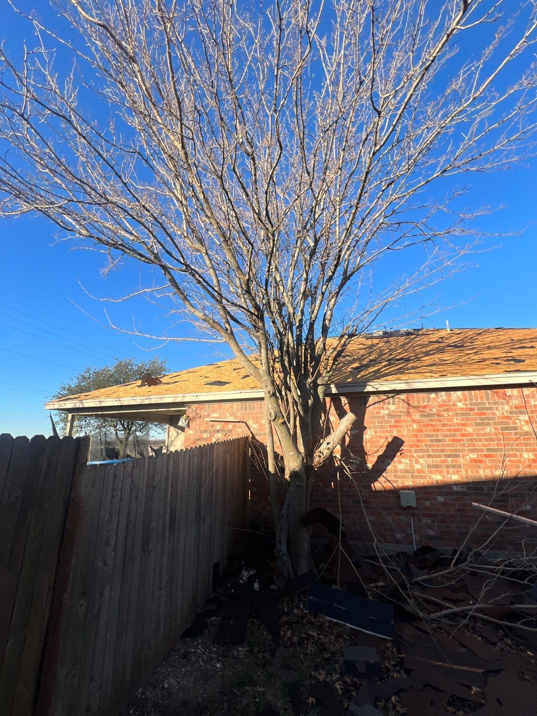 Project in Anna by Armor Roofing | Exteriors