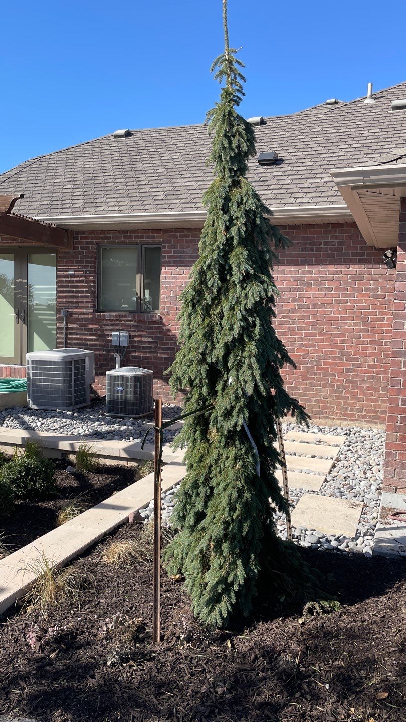 Landscape Bed Updates.  by New Horizon Landscapes