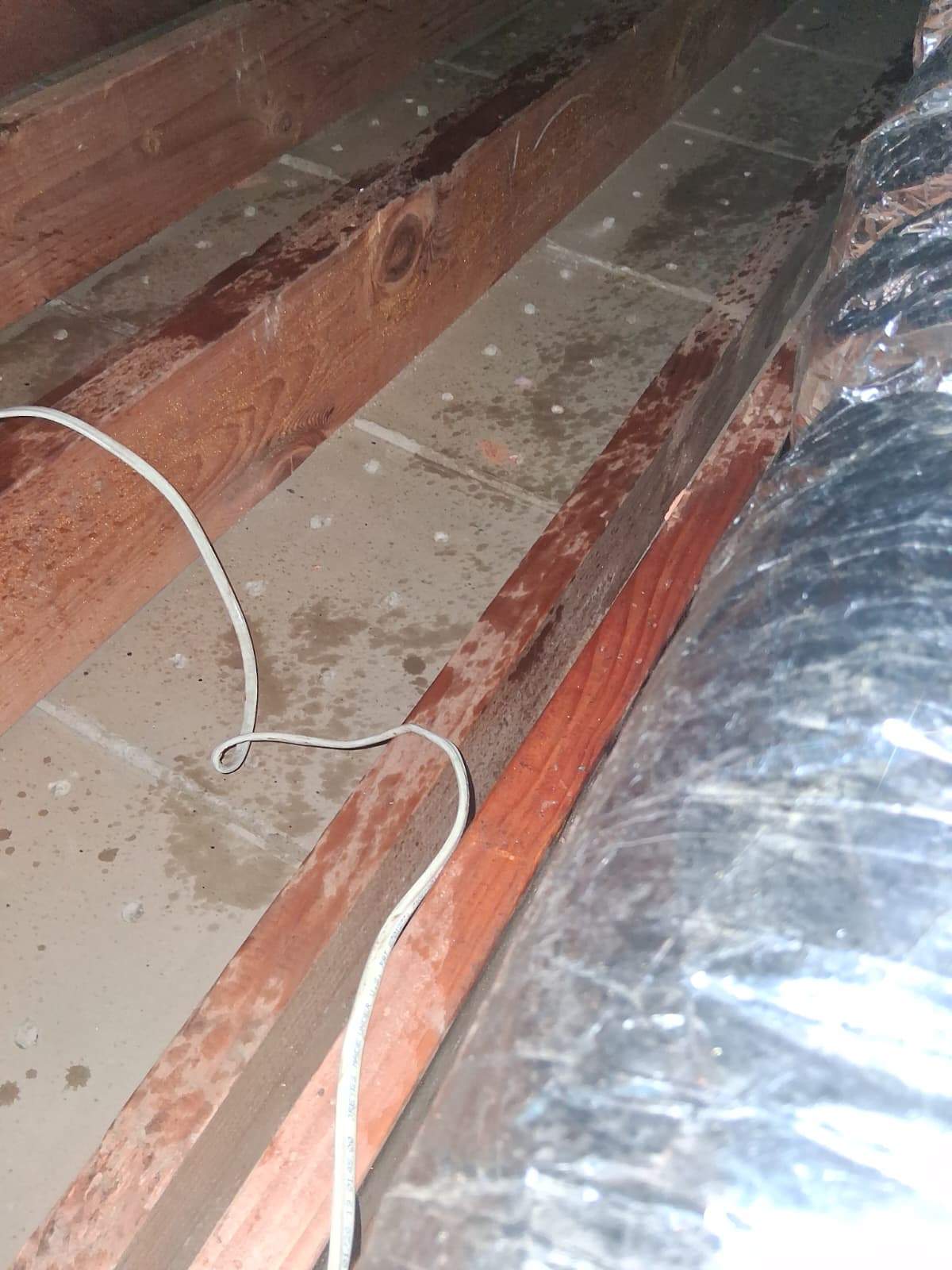 Project in Newport Beach by Advanced Attic Solutions