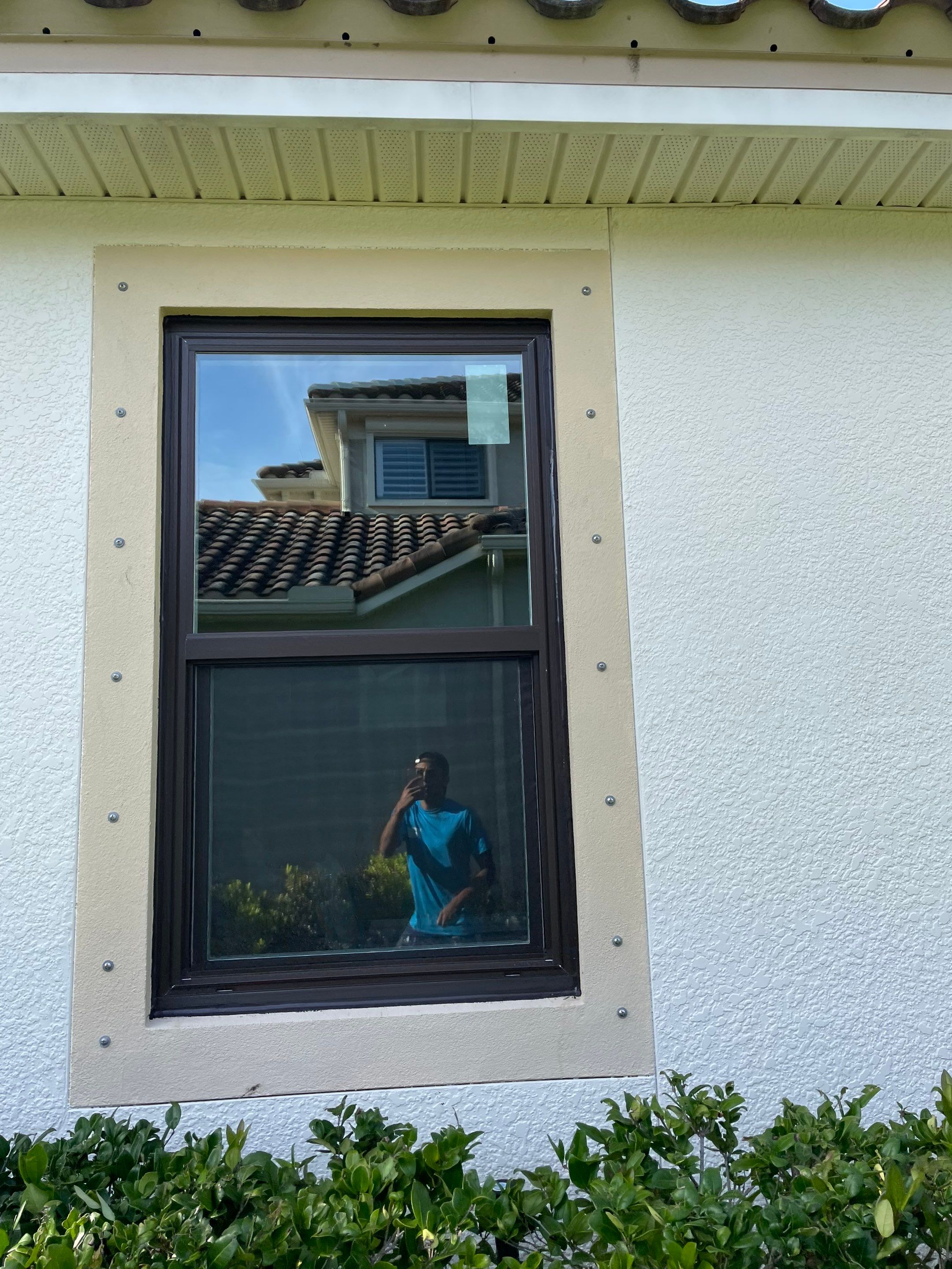 Bronze Single Hungs & PW's by NewSouth Window Jacksonville