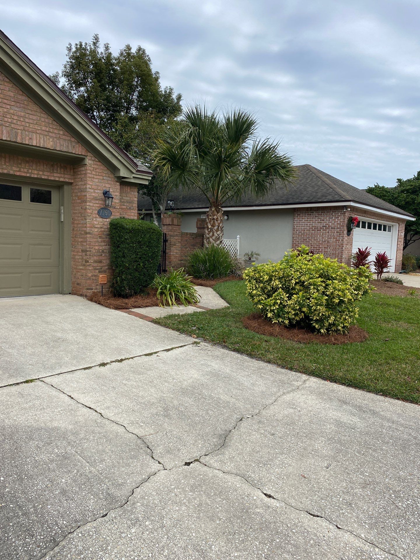 Deerwood Pointe | Tree Removal & Pine Straw Installation by ProGreen Services