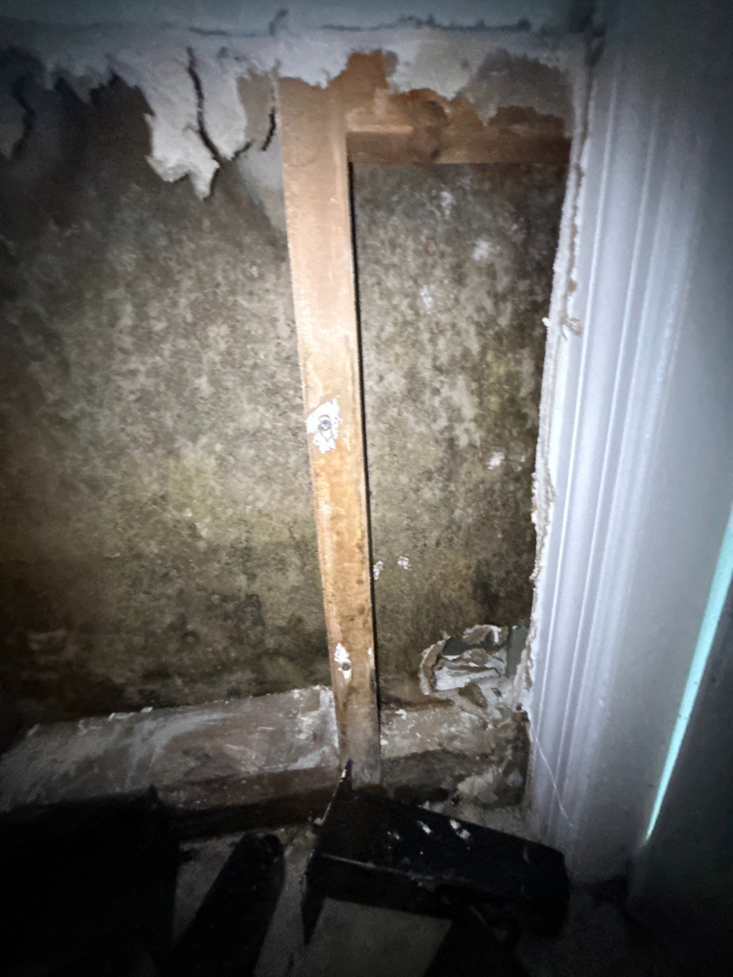 Storm Water Damage Sarasota by Ampm Restoration Services