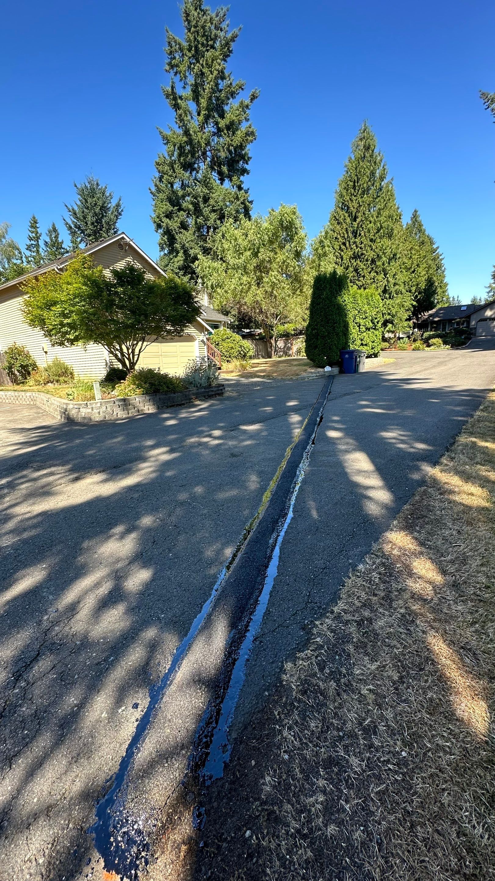 Chase | Driveway Repair, Concrete Project   by Jireh Asphalt & Concrete Inc 