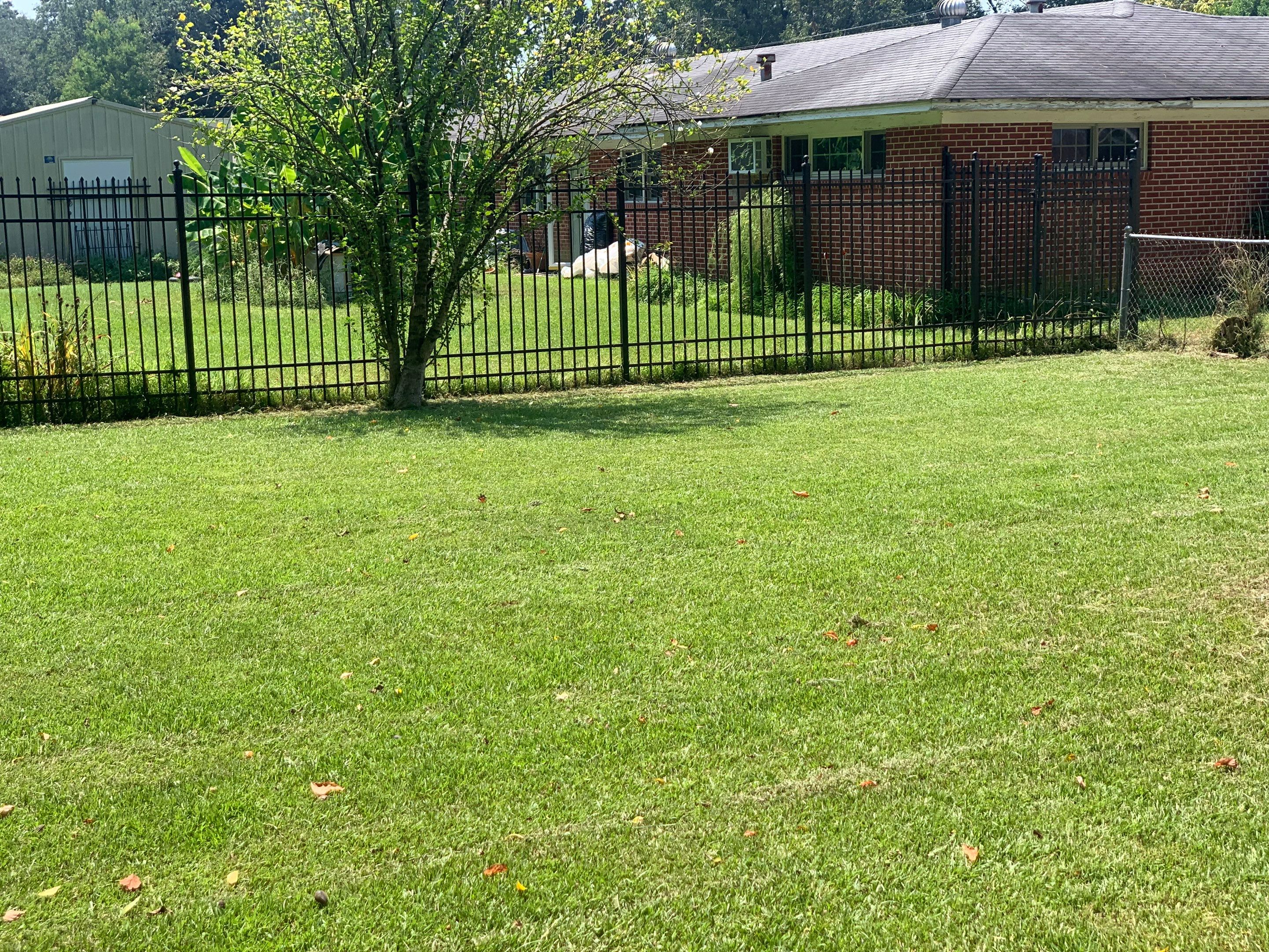 Yard Makeover by College Bros Outdoor services