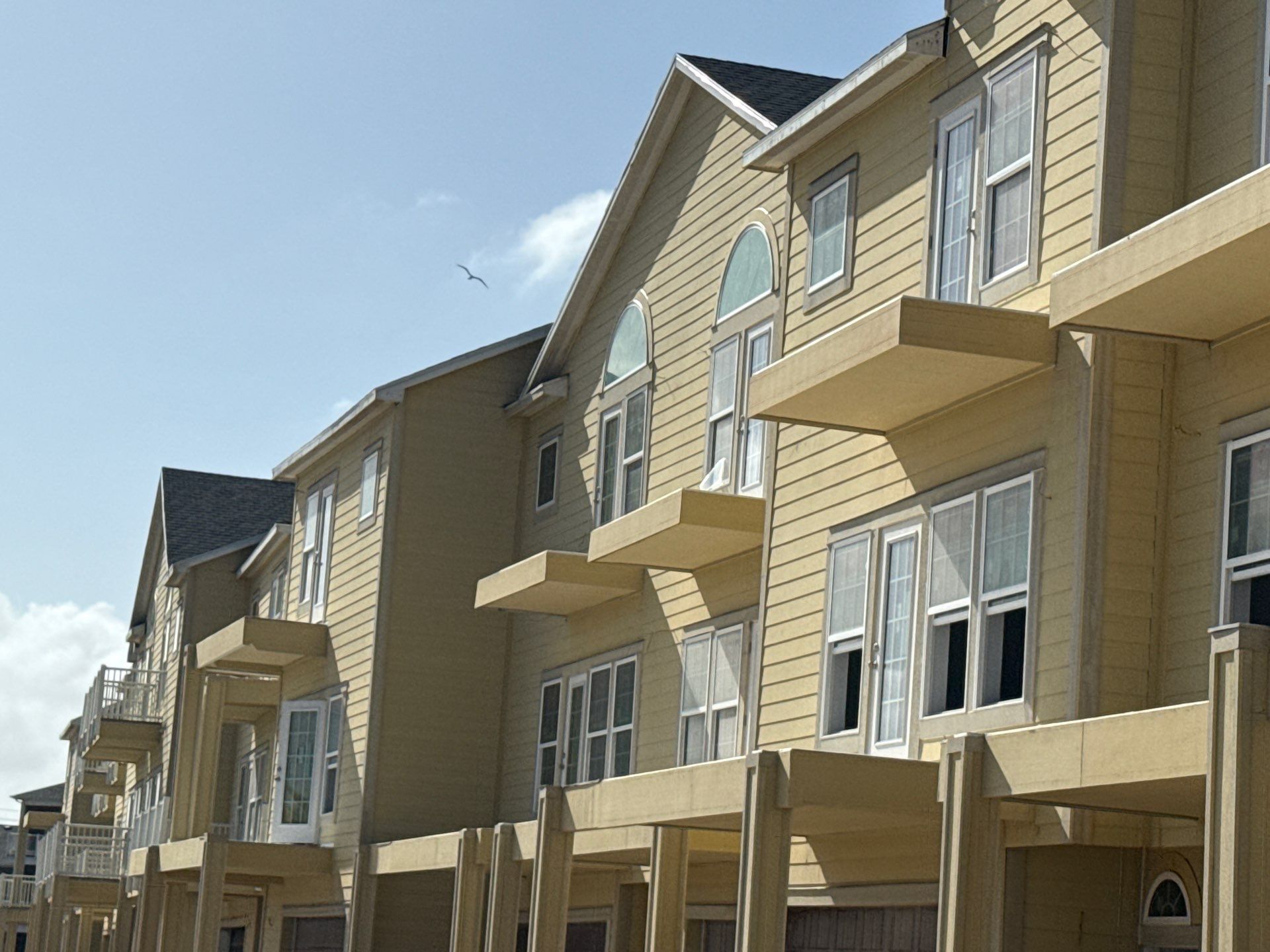 Big O'l Beach Problem.  by Bayfront Roofing and Construction