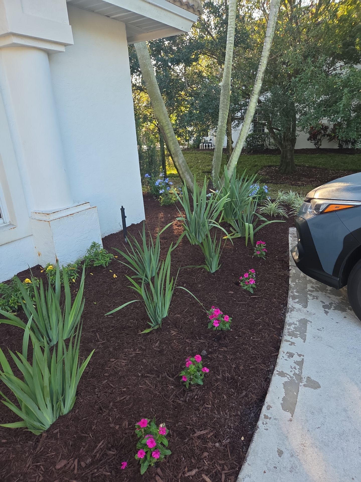 🌴 Landscape Removal and Install in Palm City by Alpha Zeta Enterprises Inc