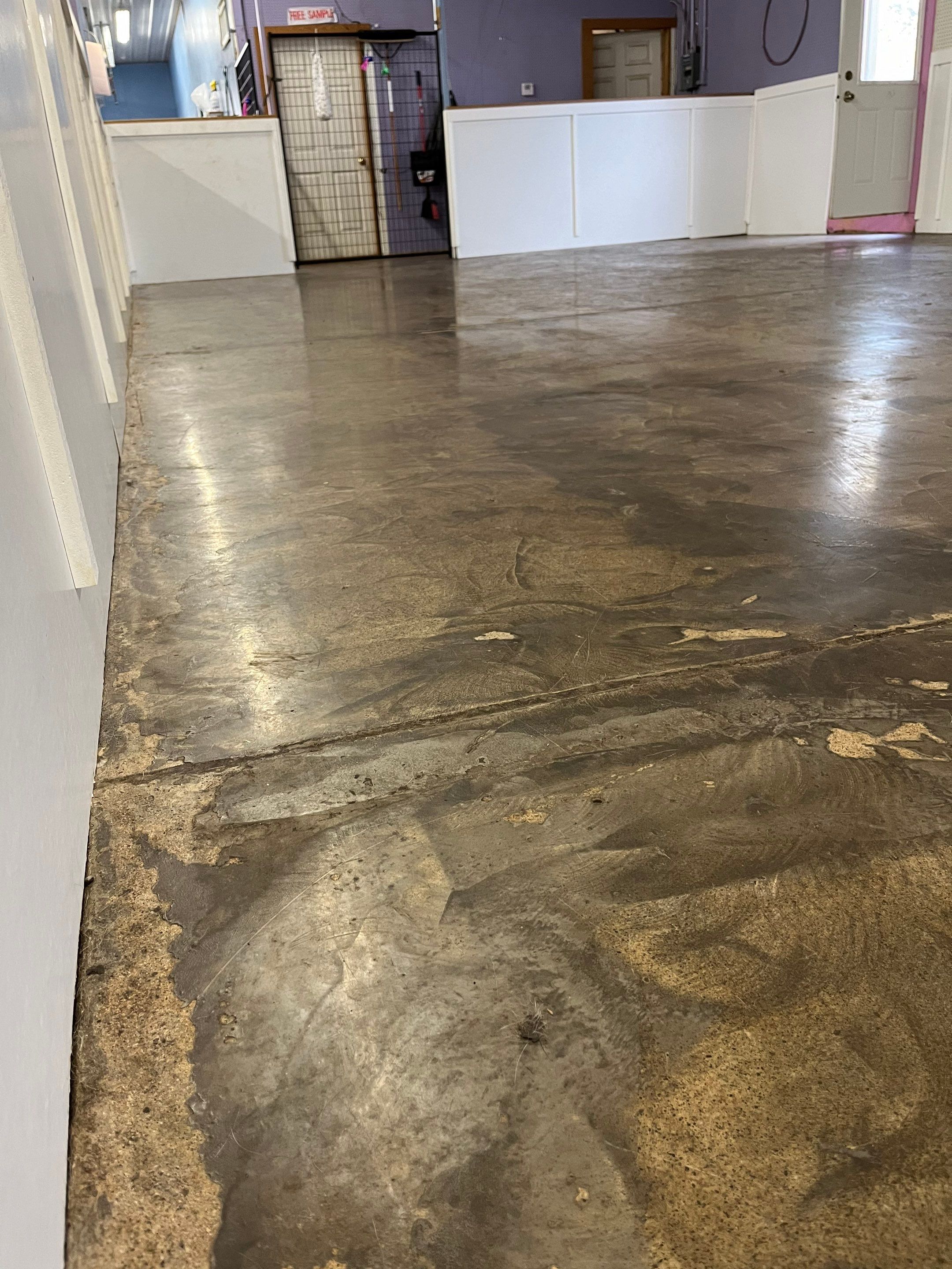 Doggy Daycare Refresh! by Revival Concrete Coatings