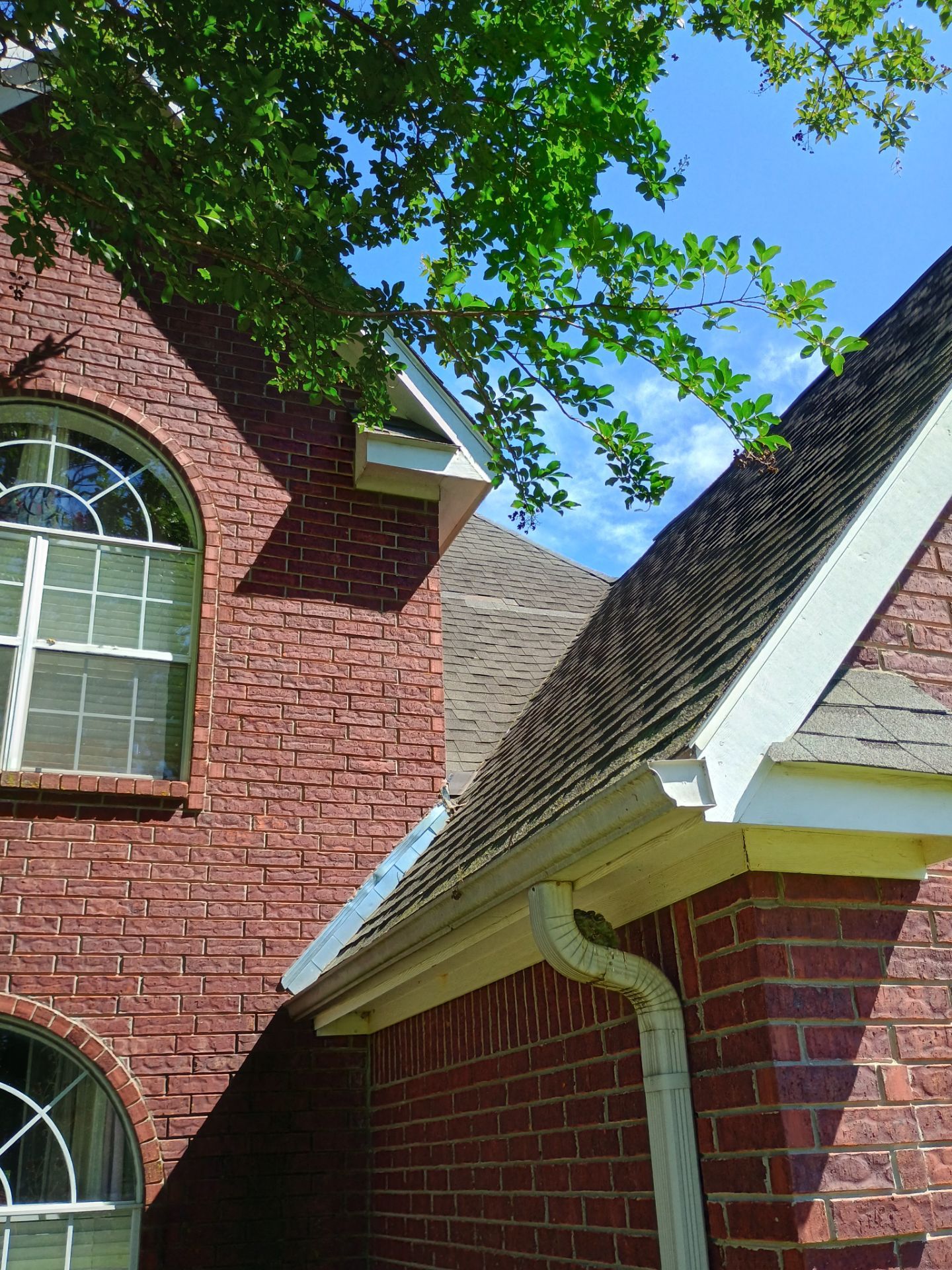 Architectural Shingle Roof Replacement for Brick Residence in Ardmore by BANA Roofing and Solar Supply