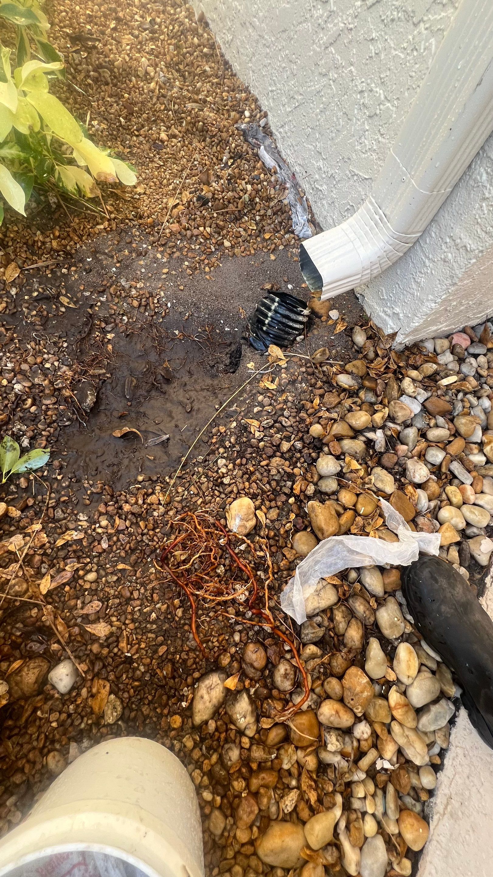 Condo Gutter System Jetting by APS Power & Water