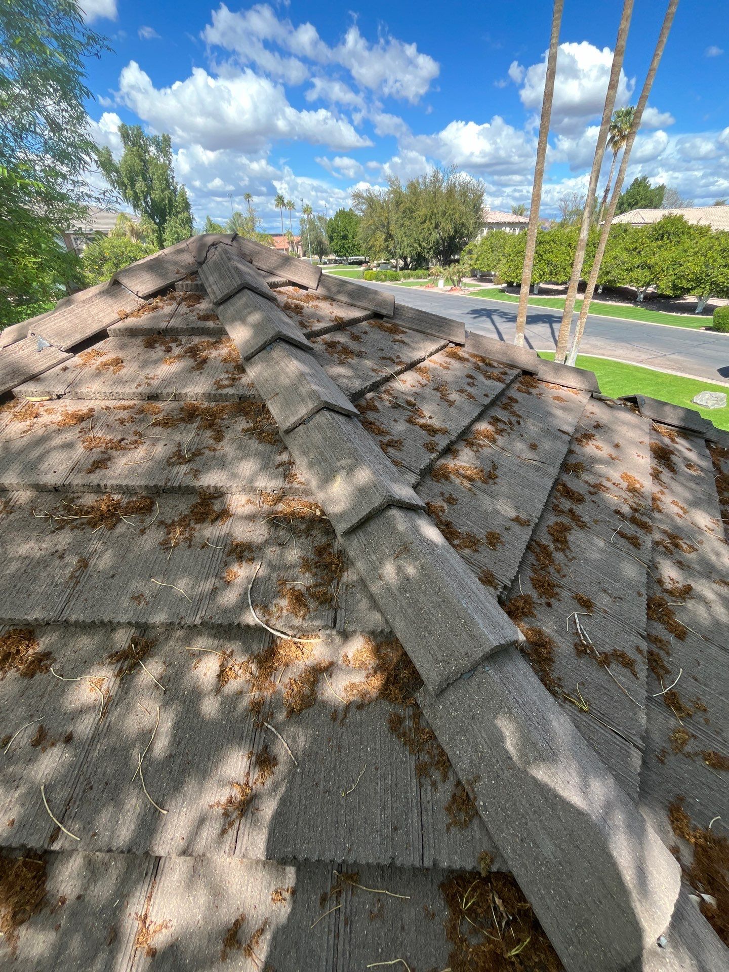 Sandstone Beige Concrete Tile by Reimagine Roofing