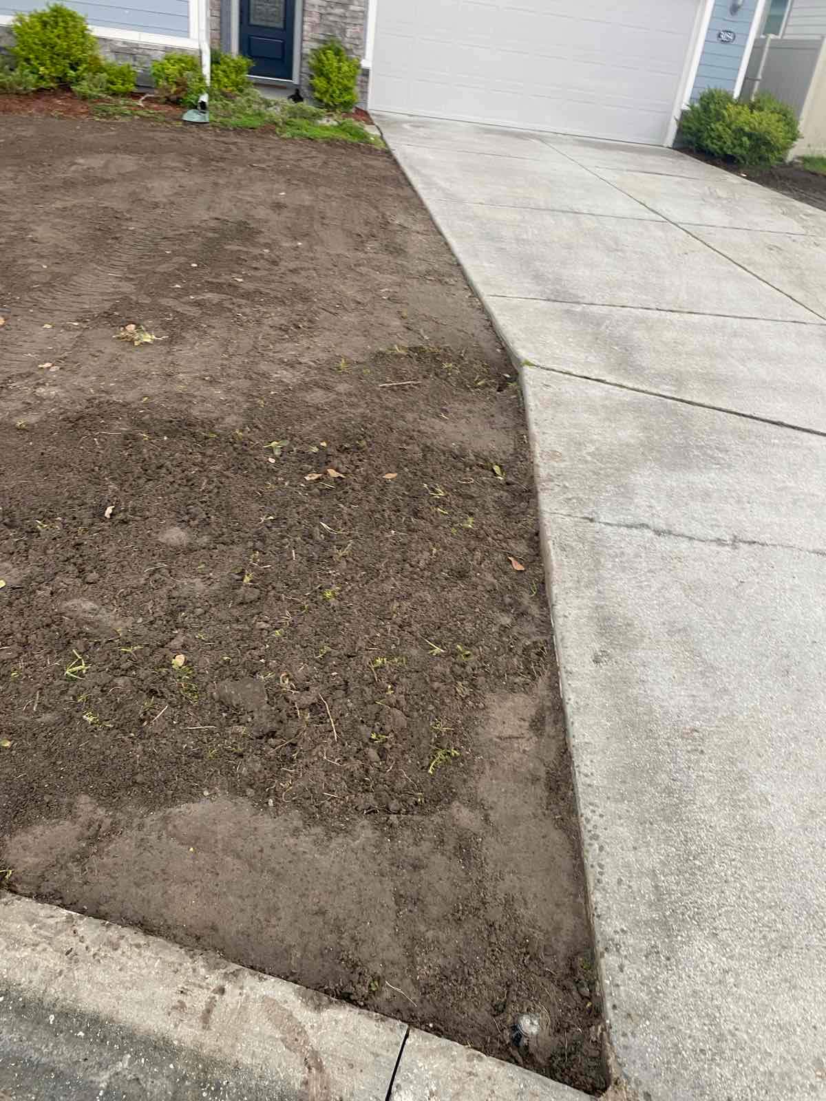 Sod Installation | Southside Jacksonville by ProGreen Services