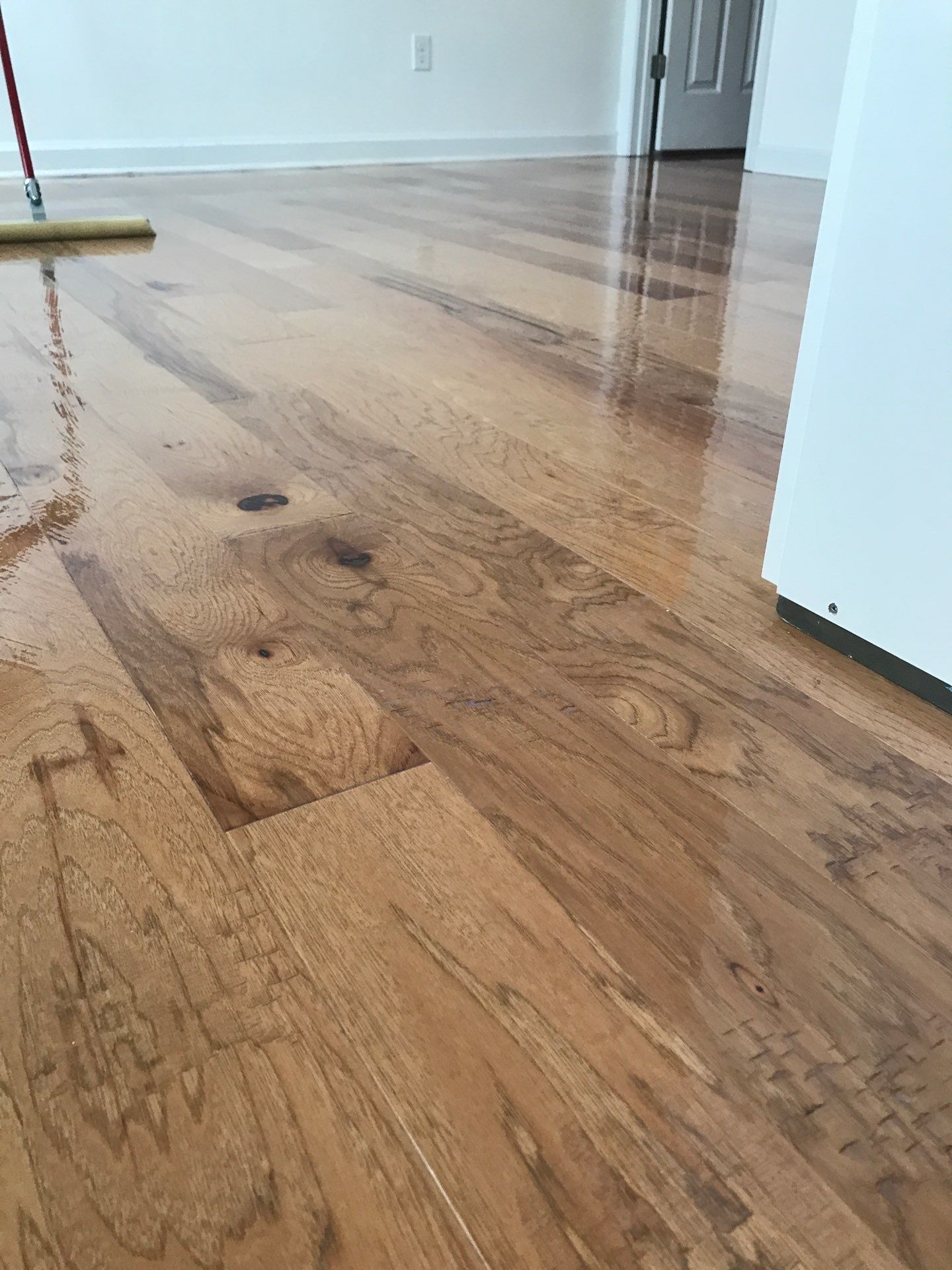 Hardwood Renewal by Monster Clean