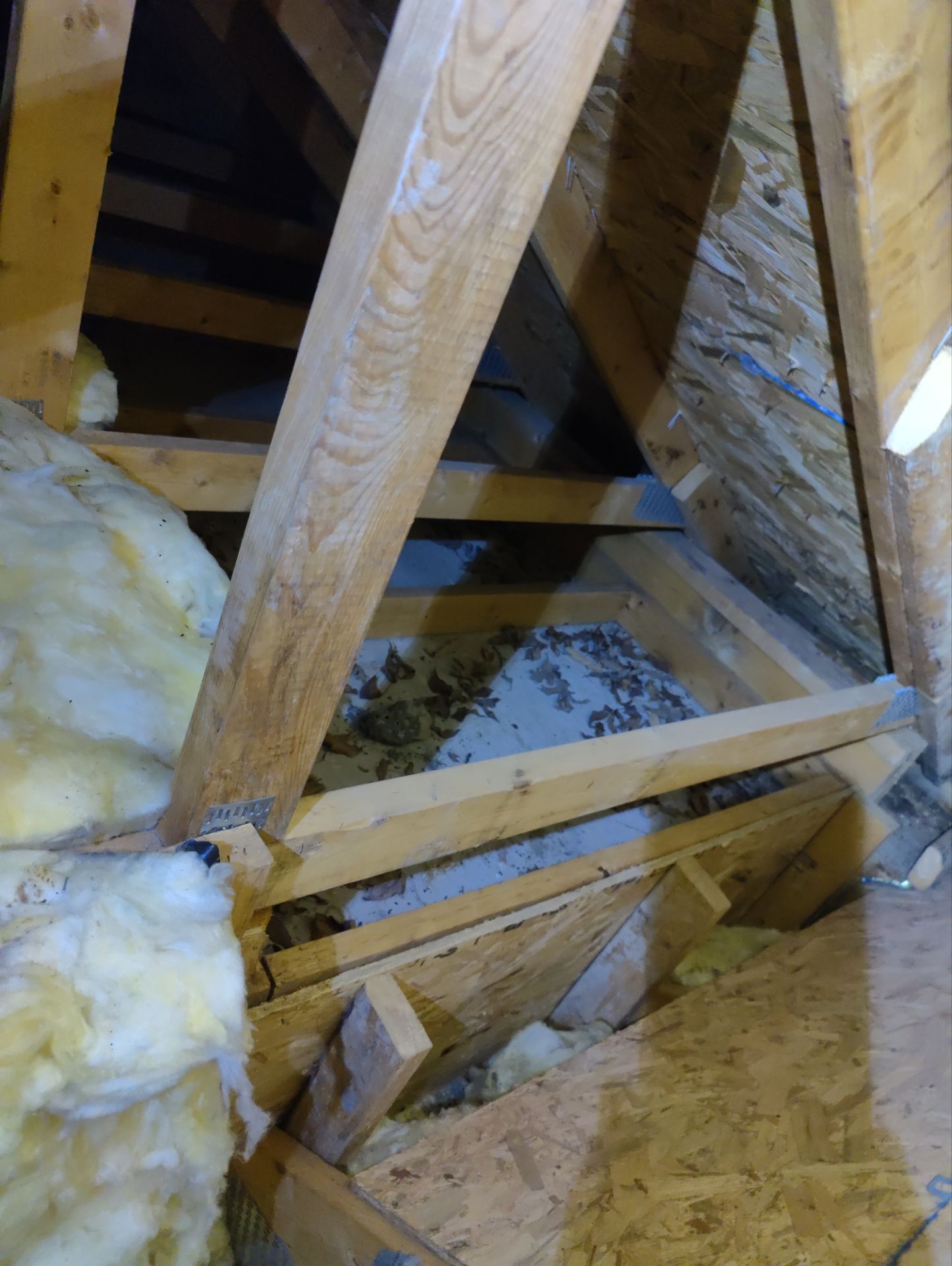 Roof Replacement using CertainTeed Landmark Max Def Shenandoah by 180 Contractors