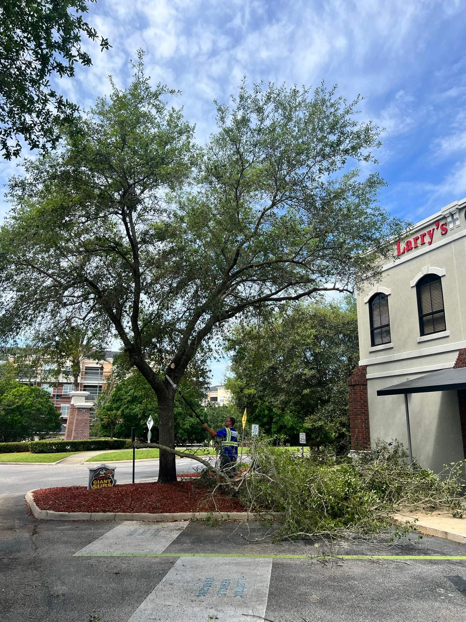 Tree Trimming | Larry's Giant Subs by ProGreen Services
