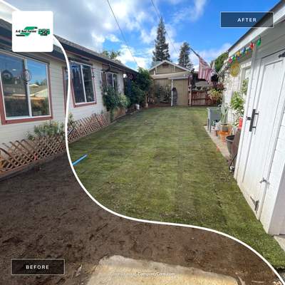 Project in Ripon