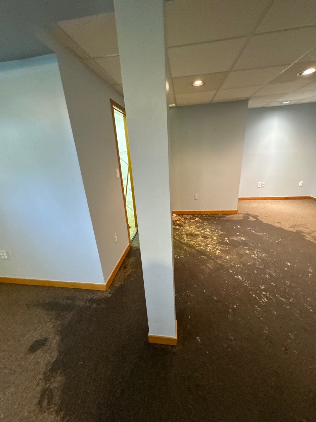 Project in West Bloomfield by EzDry Water Mitigation & Property Restoration