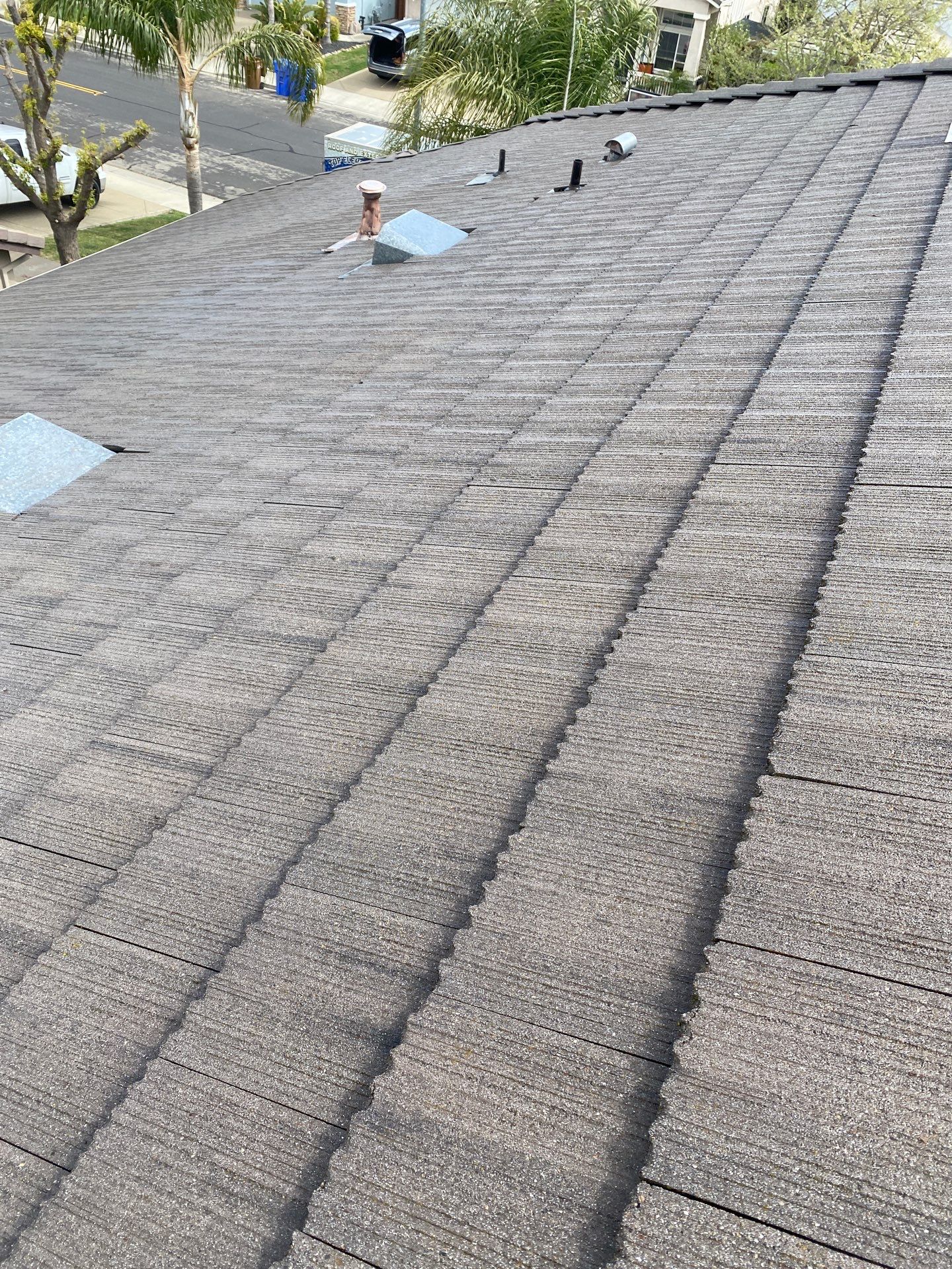 Moss Removal by Top Elevation