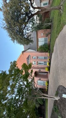 Project in Irving