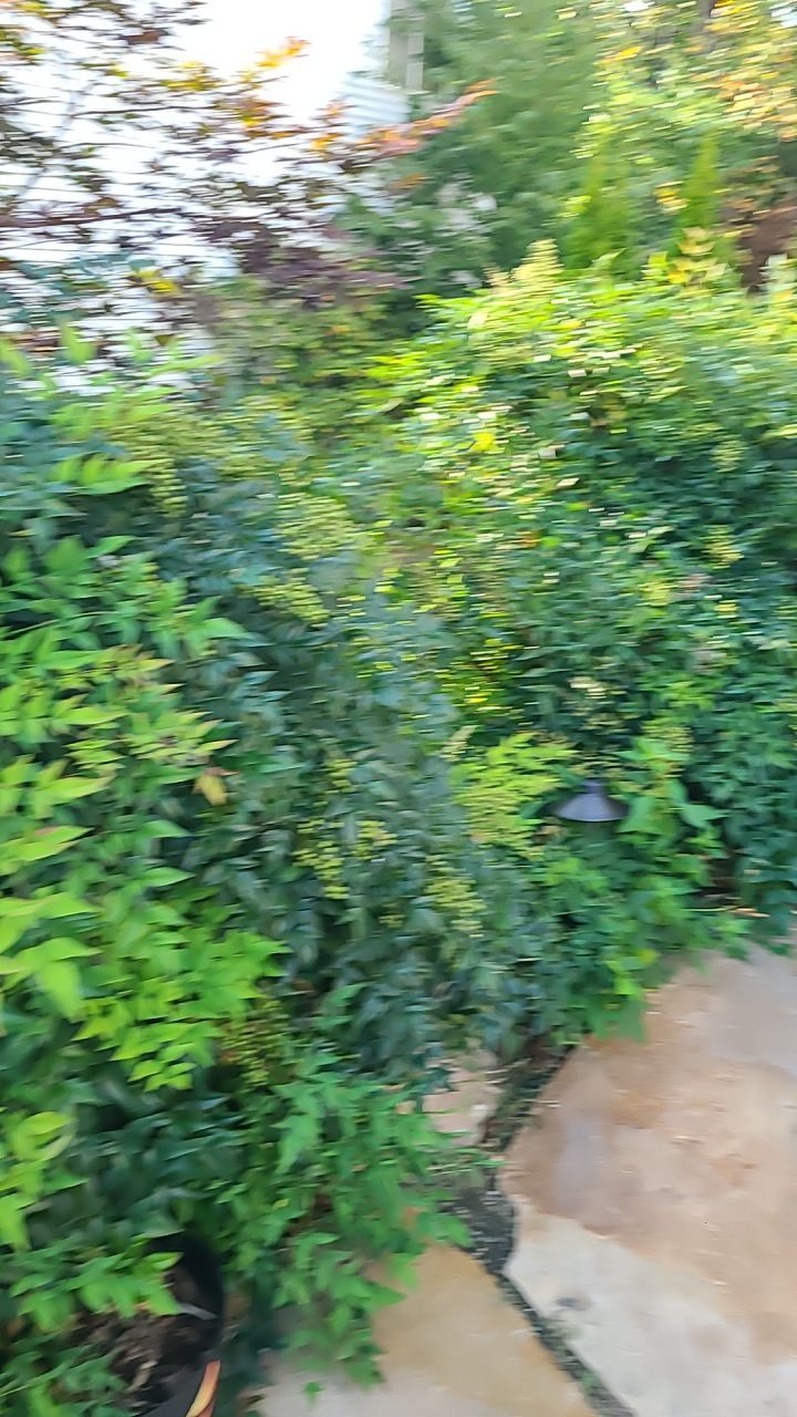 Dumfries: CertainTeed Landmark Pro Designer Shingles in Max Def Weathered Wood by RM Banning, Inc.