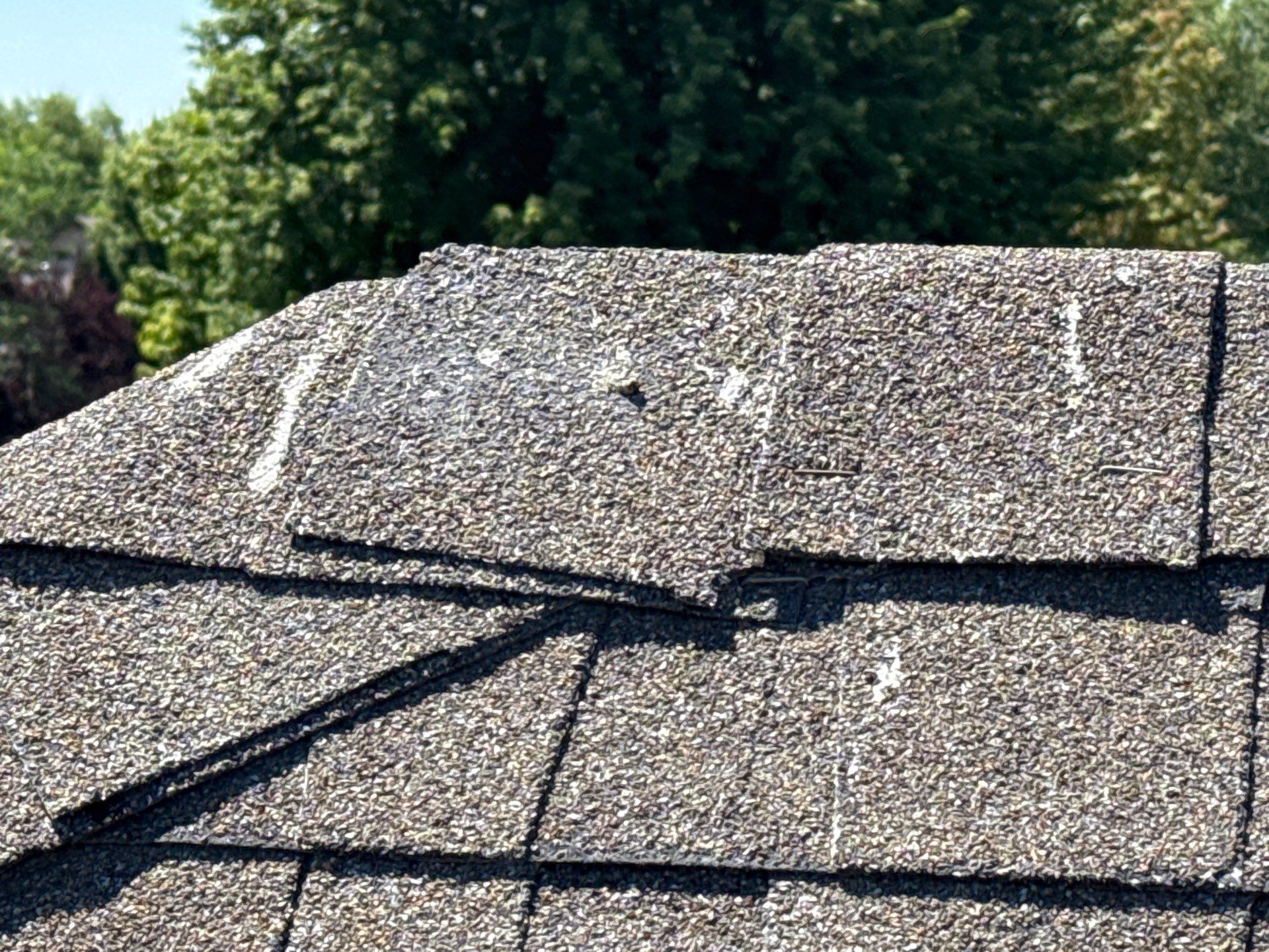 Complete Residential Roof Replacement with Architectural Shingles in Star by Olive Roofing
