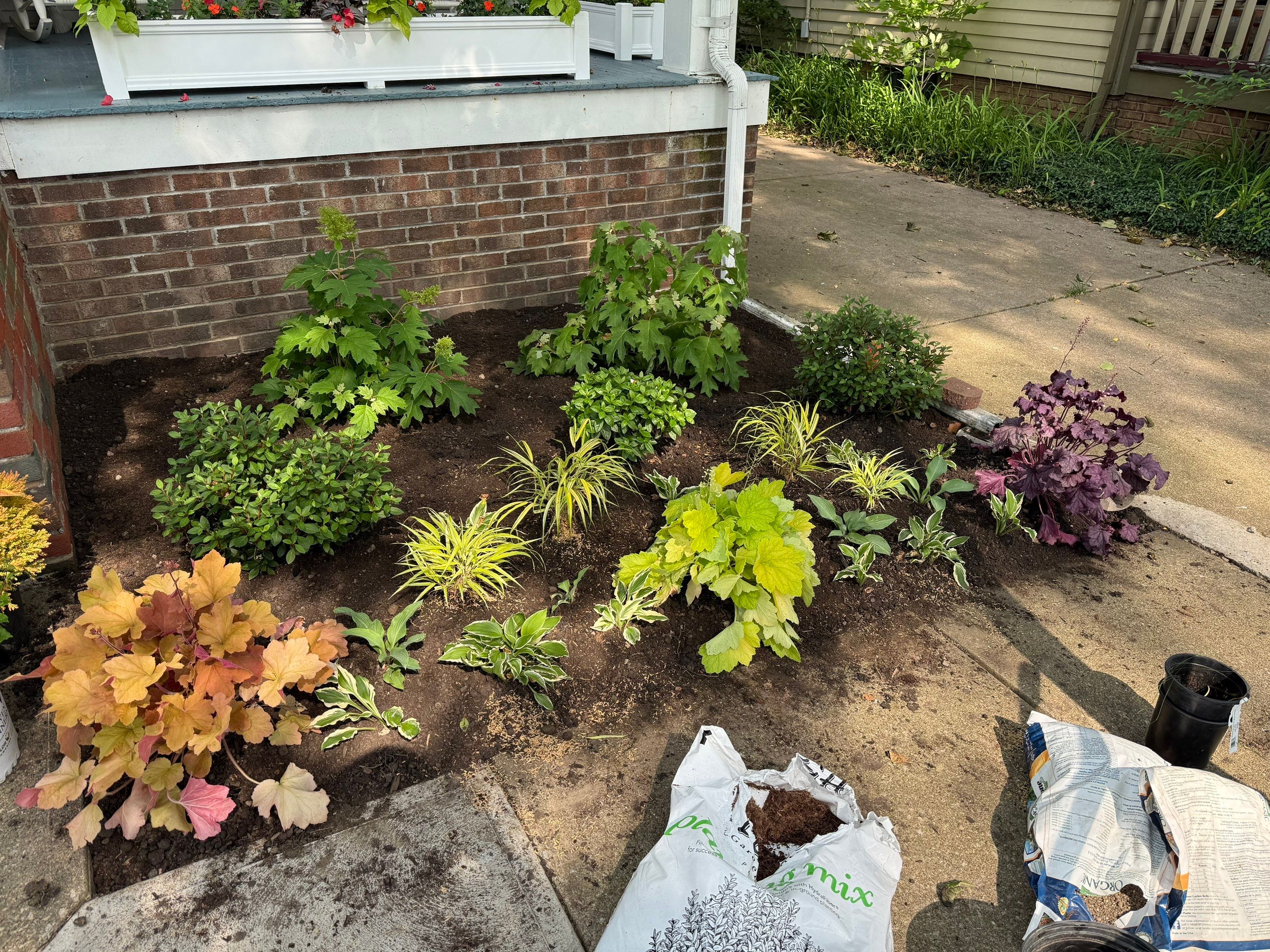 Woodland Flora Project by Elm Rose Gardens