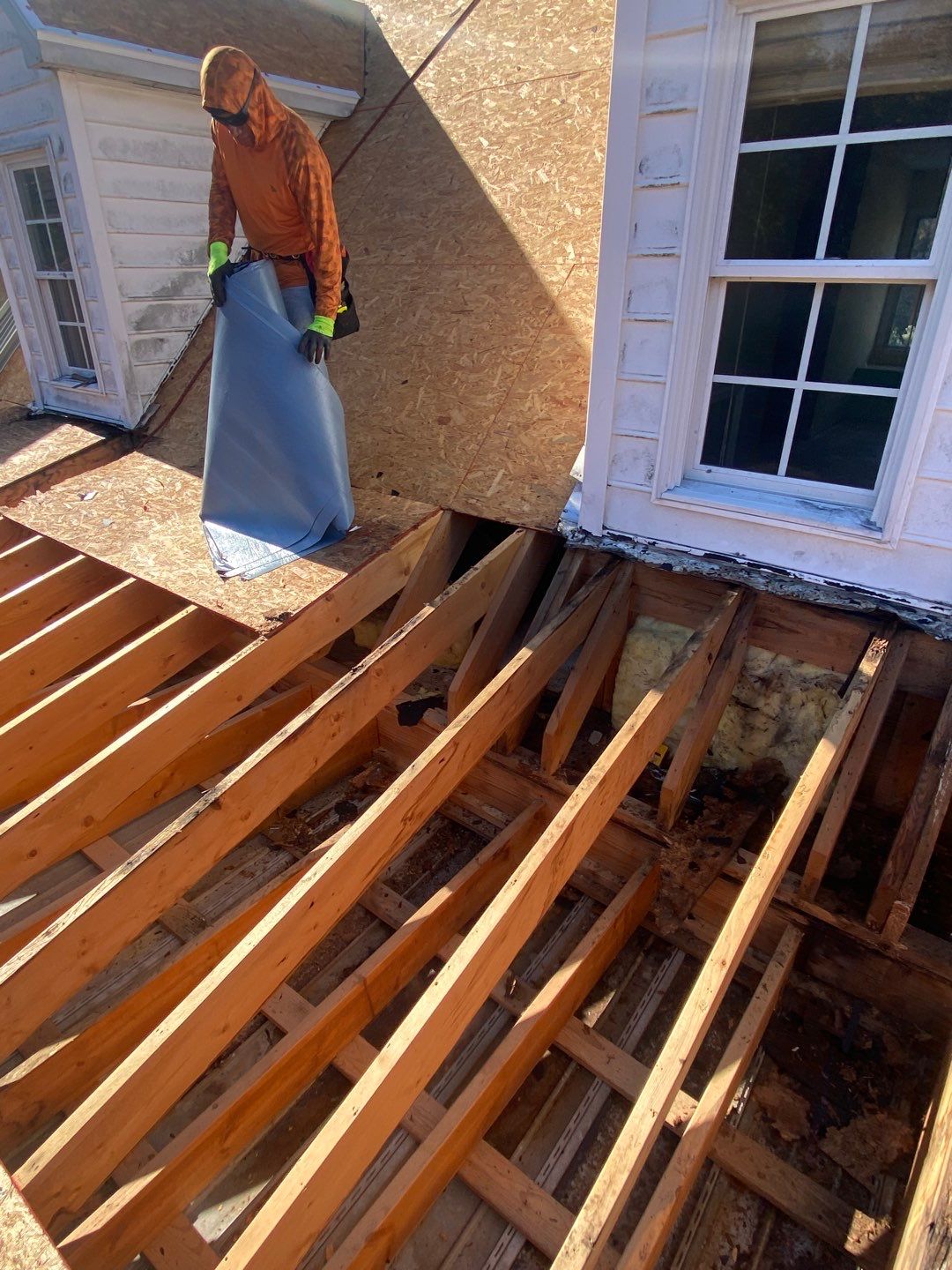 Project in Creedmoor - Certainteed Landmark Silver Birch by Pro Performance Roofing