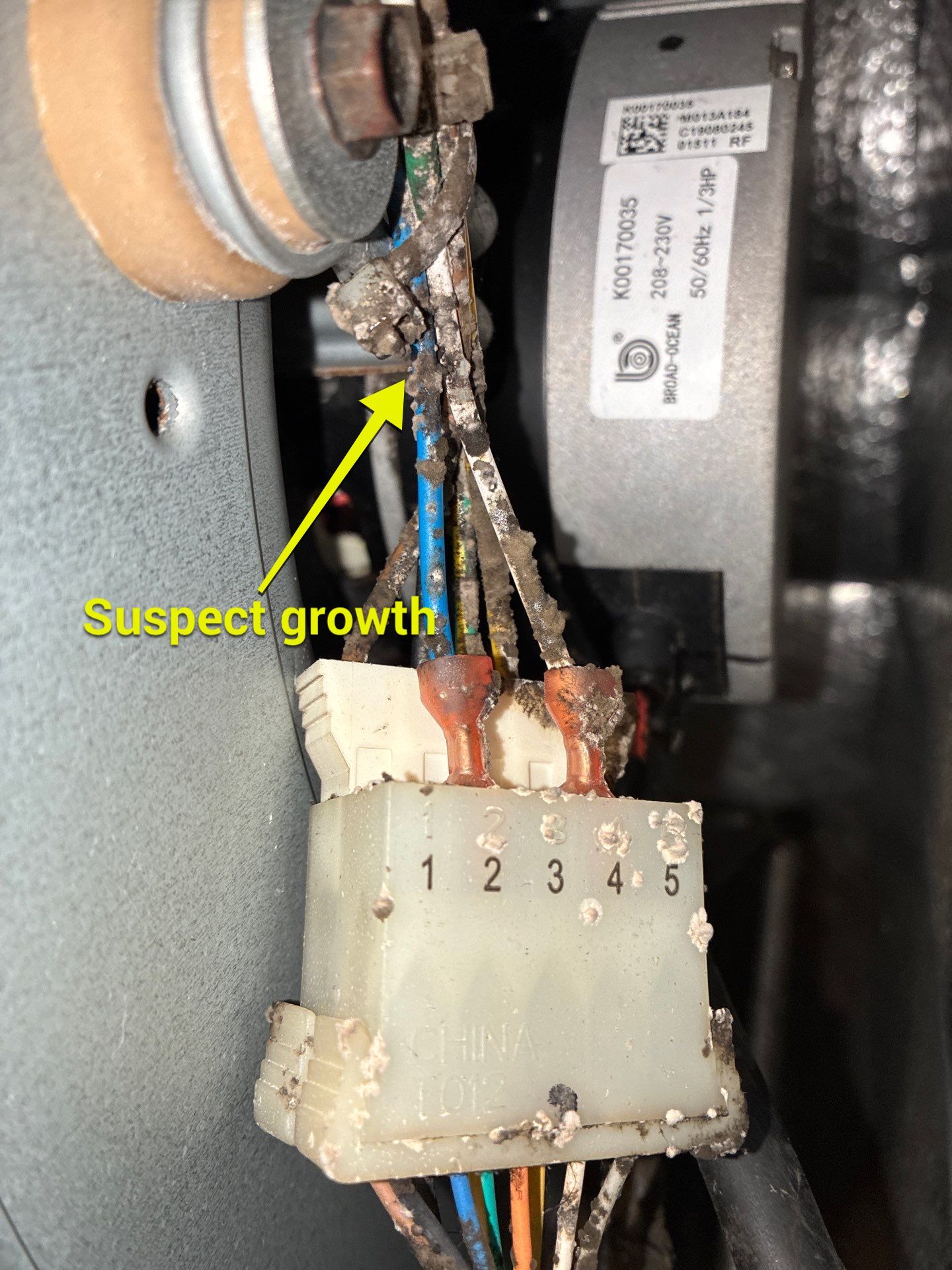 Air Duct Cleaning in Groveland by Hygienic Air, Inc