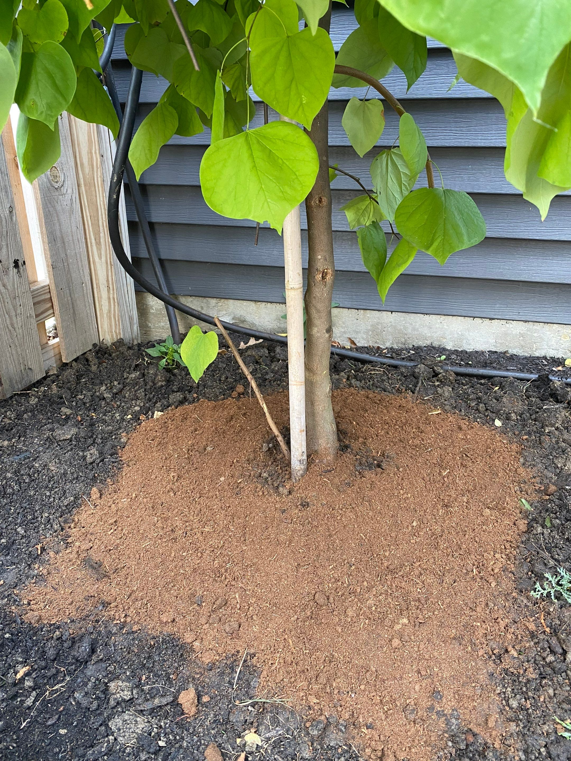 Corten Steel Maintenance by Elm Rose Gardens