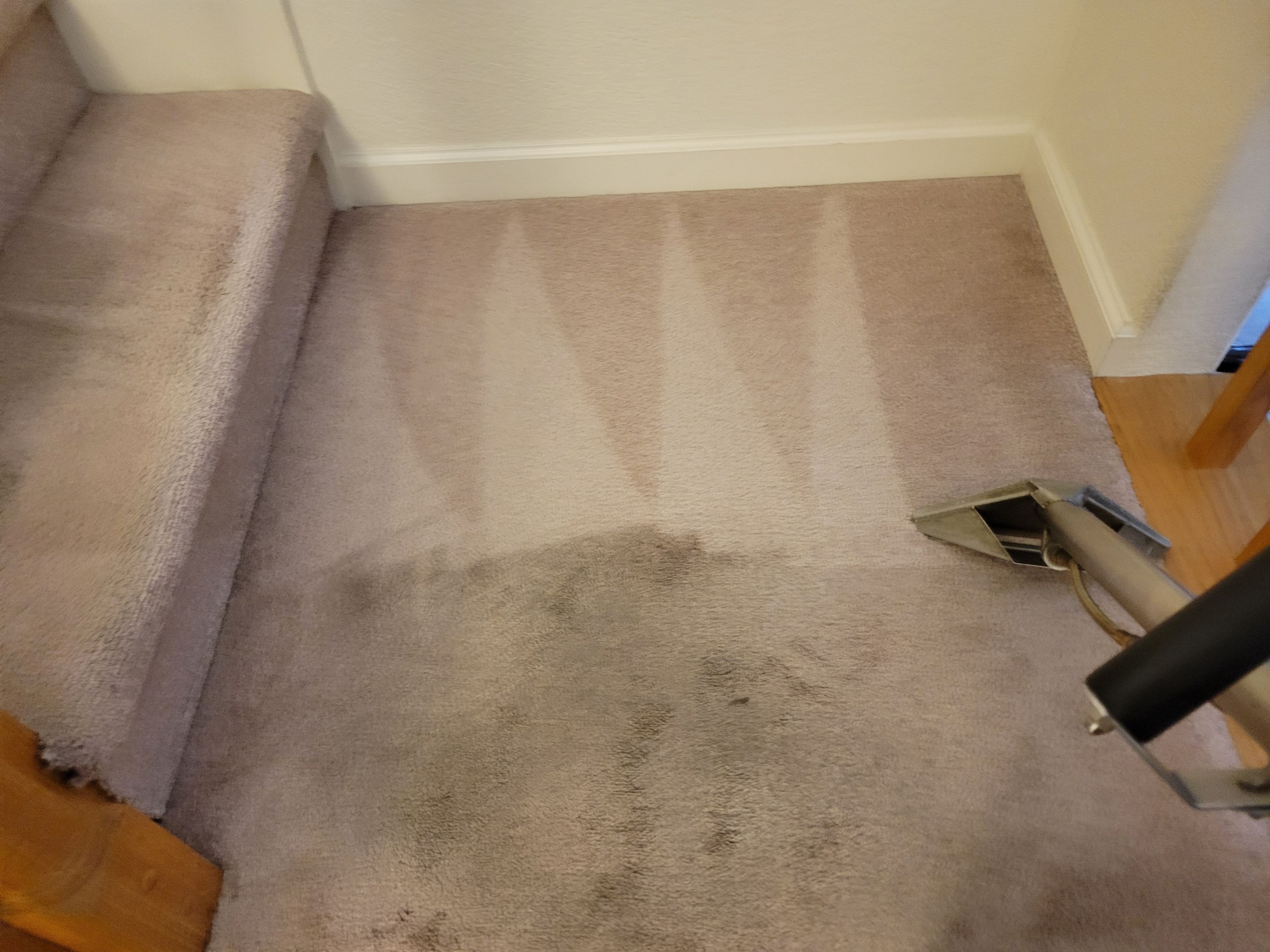 Woodland Carpet Re-stretch and Cleaning by Ardent Carpet Restore LLC