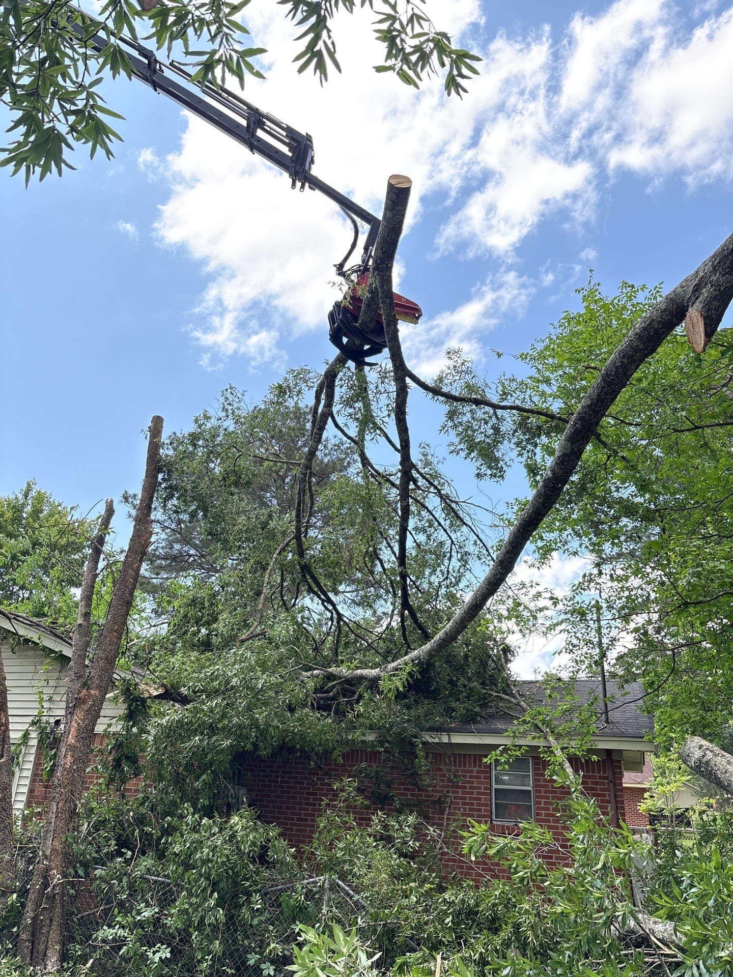 Disaster Relief Using 100-Ton Crane and DinoLift by American Arbor