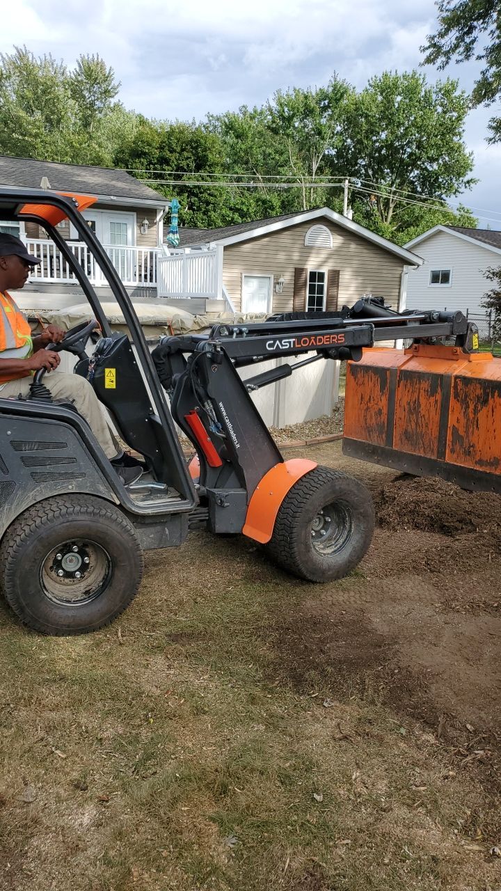 Oak Tree Removal by Mike Jones & Sons Tree Service LLC 