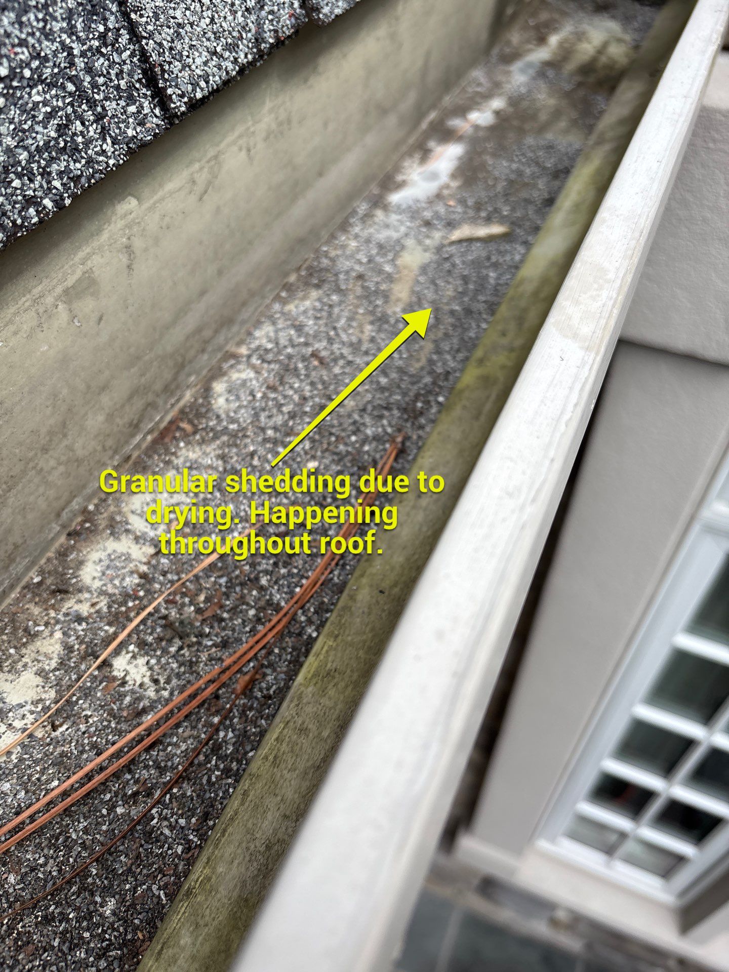 Project in Ashland by Roof Maxx of Midlothian