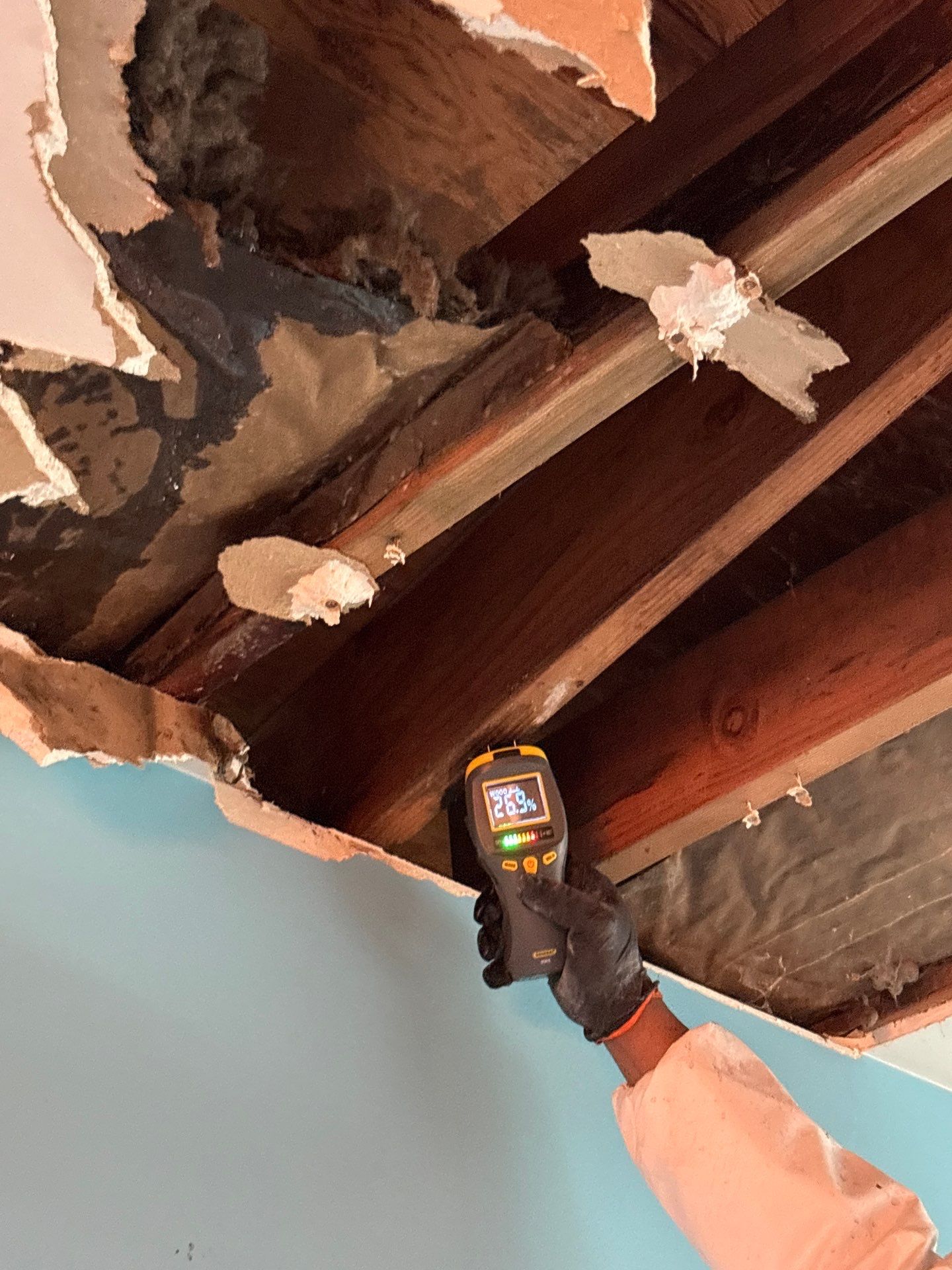 Seattle WA, GAF Everguard TPO  by Proline Roofing & Restoration LLC