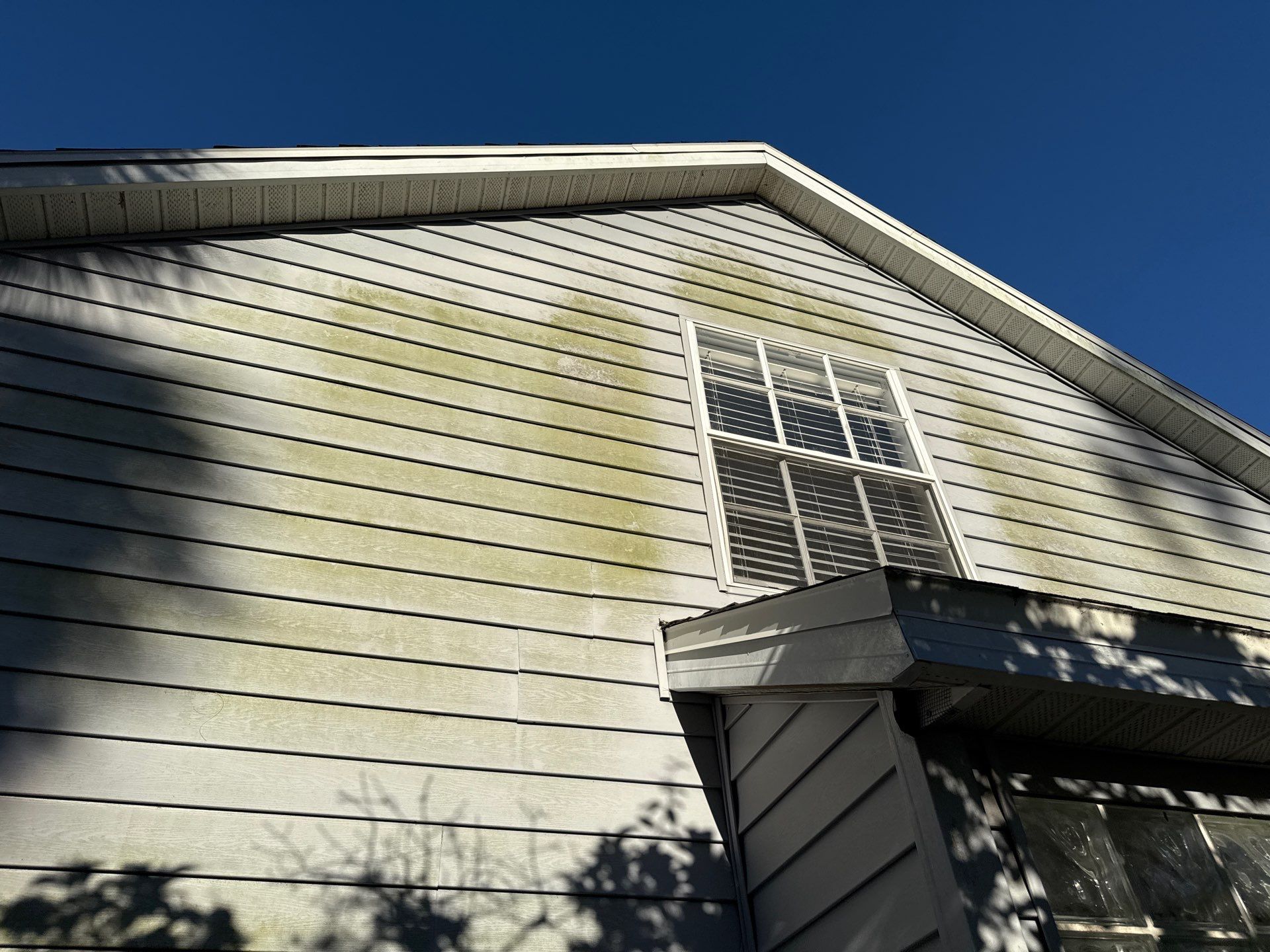 🏡 From Green to Clean! 🌊 Epic House & Pool Cage Cleaning on the Manatee River | Ellenton, FL 💦 by Sunshine AquaWash