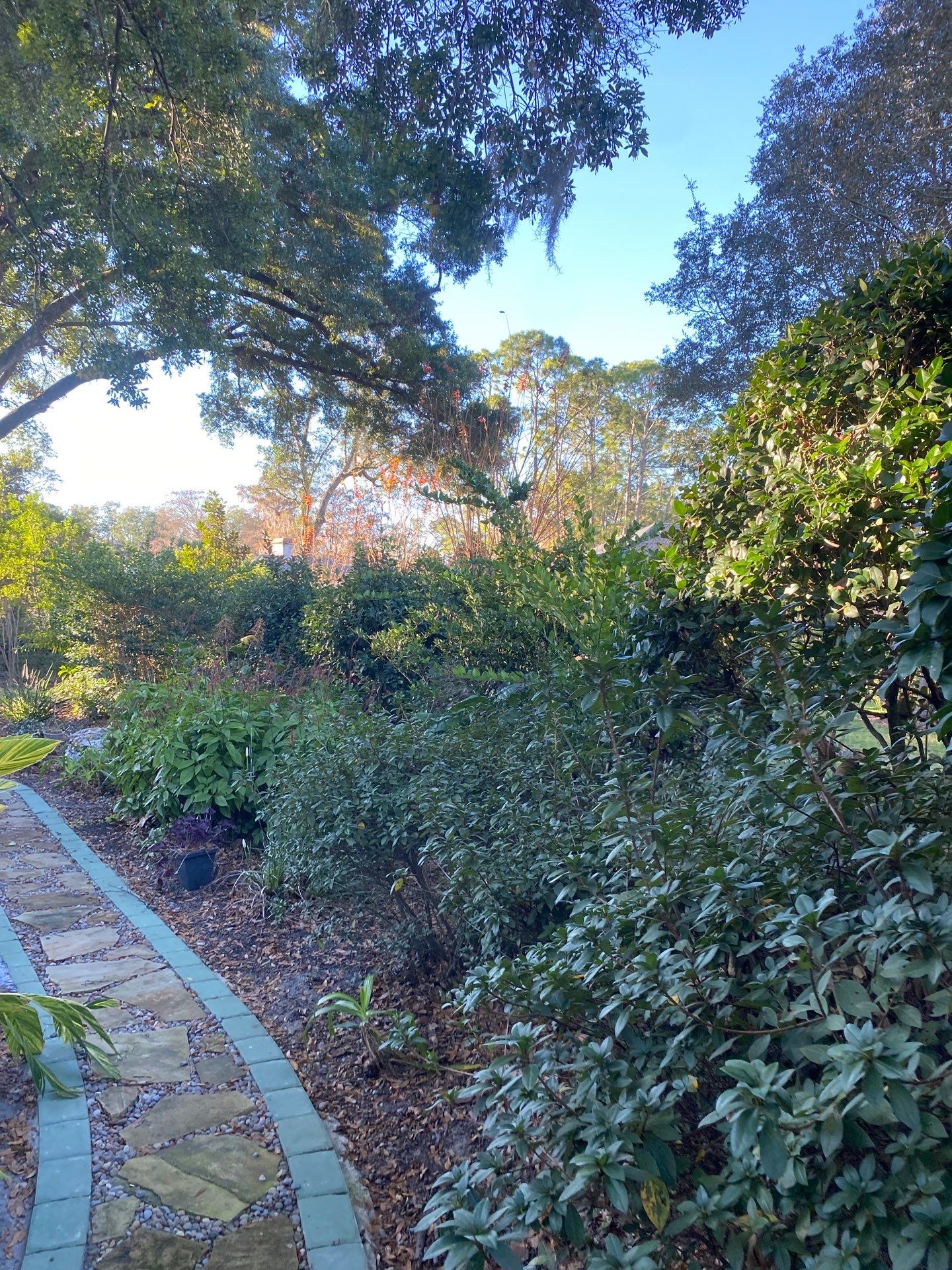 Deerwood Resident | Tree Removal by ProGreen Services