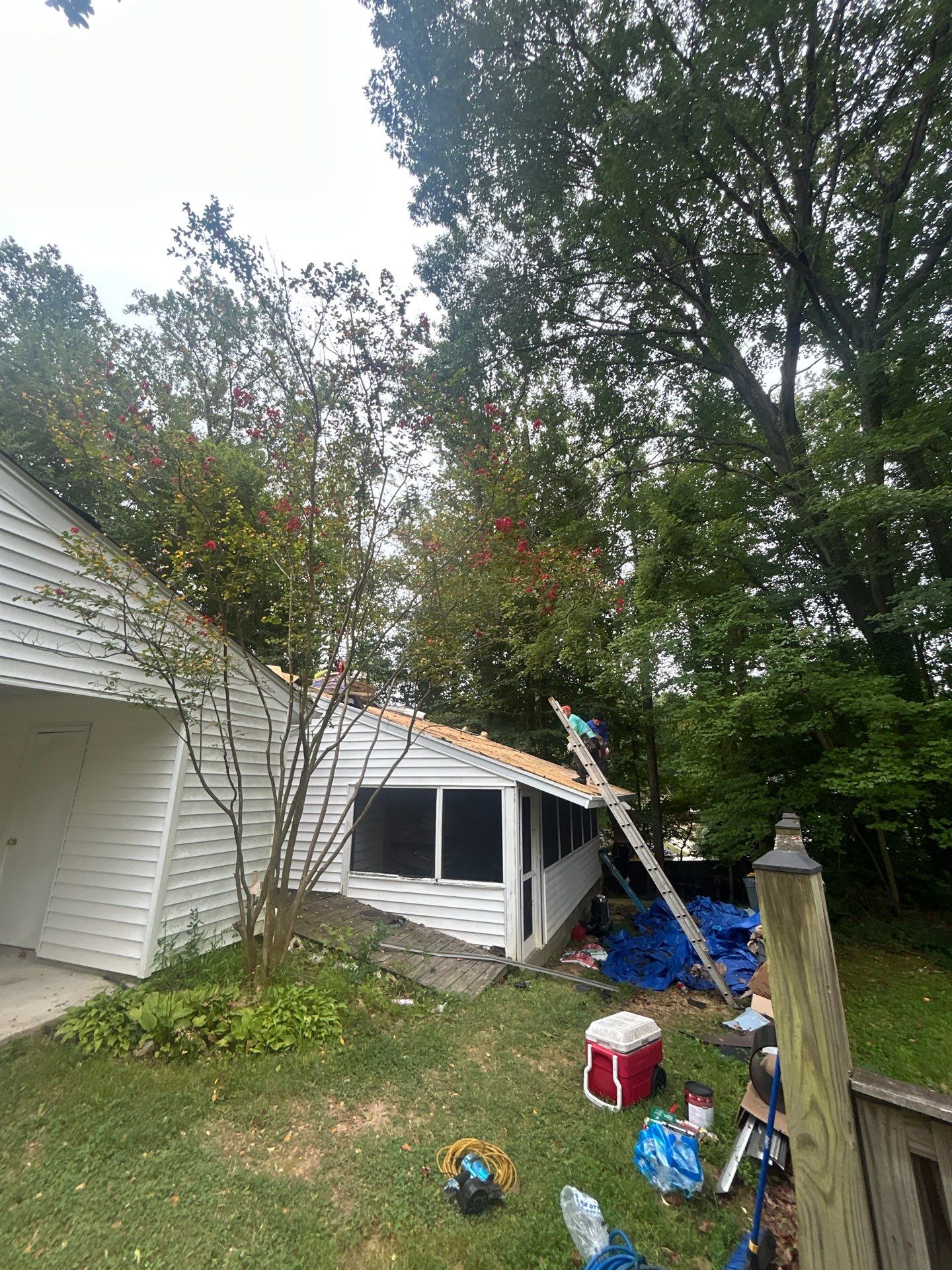 Springfield : with CertainTeed Landmark Pro in Max Def Cobblestone Gray  by RM Banning, Inc.