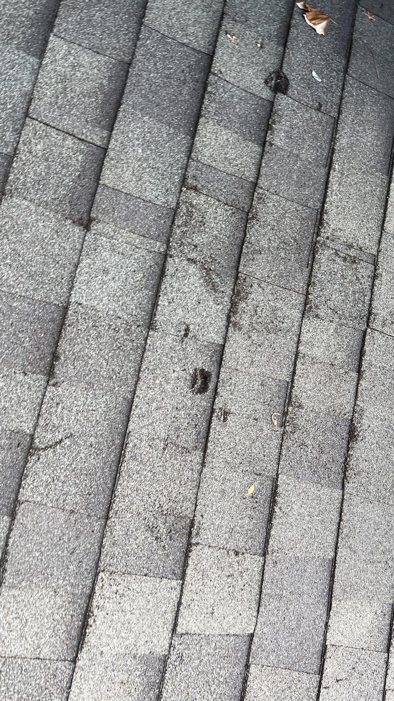 Architectural Shingle Roof Replacement and Exterior Restoration in Round Rock by Caliber Restoration LLC