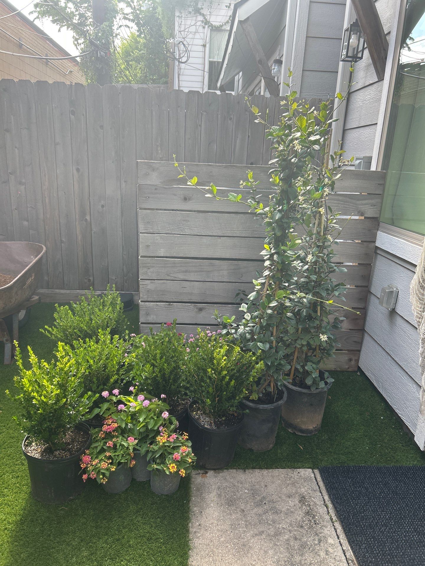 🌿 Kristy’s Backyard Privacy & Pergola Transformation by Texas Urban Elements