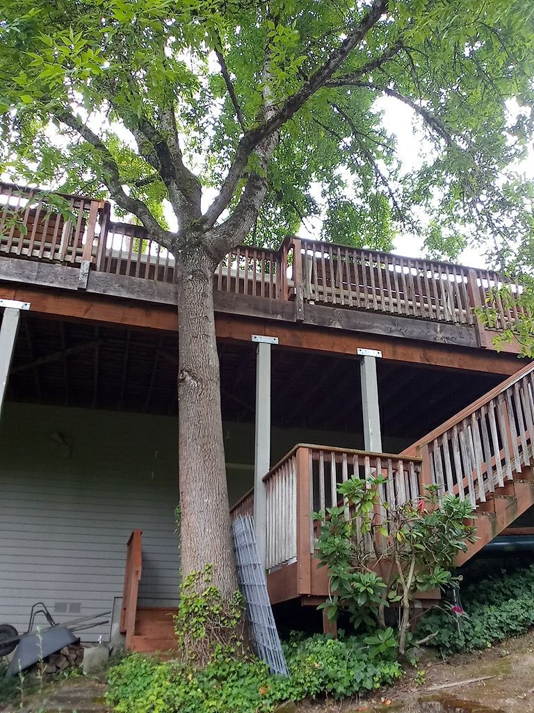Deck Restoration using Armstrong-Clark Semi-Transparent Cedar 97229 by Paul Schopp