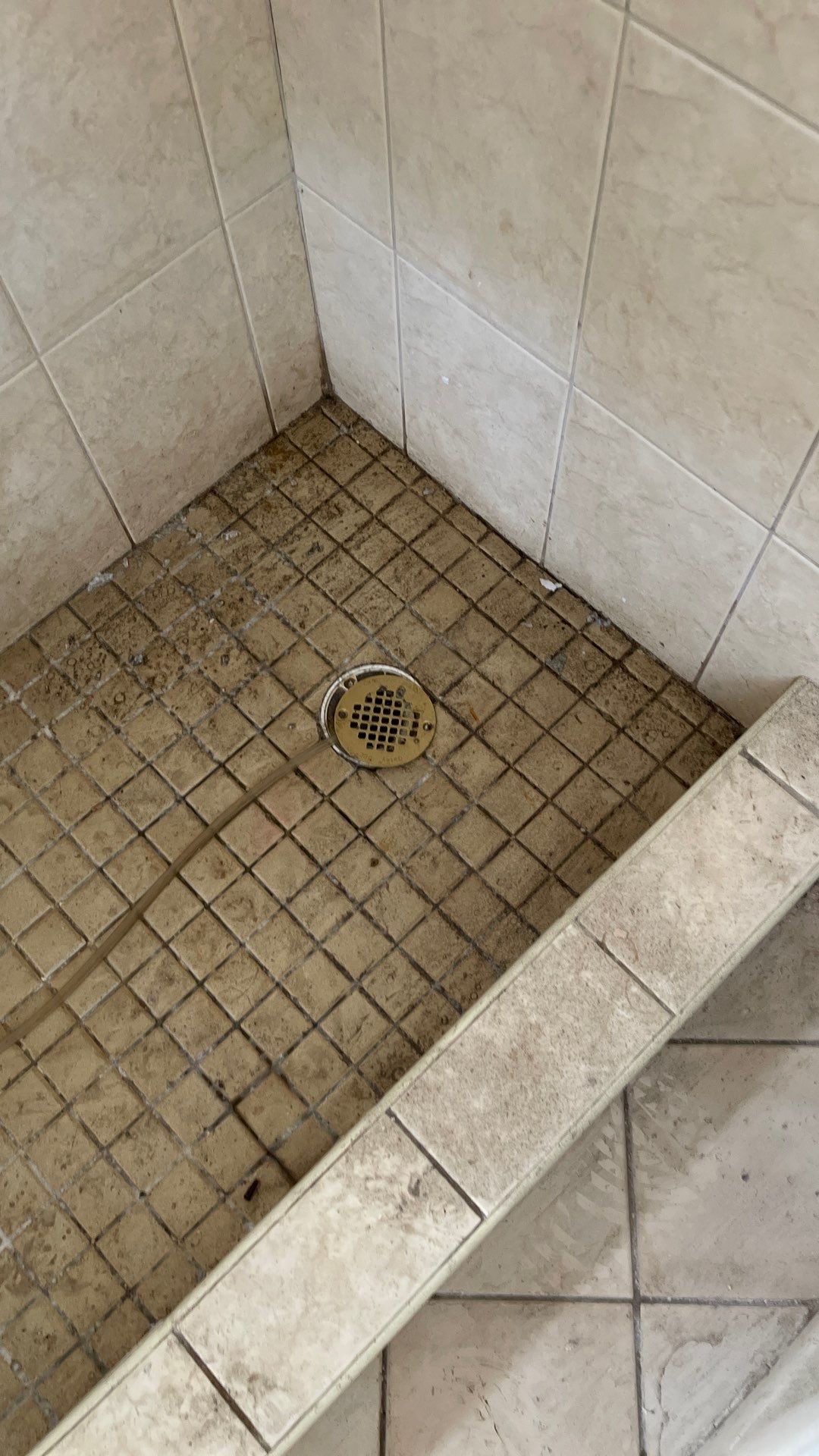 Mold Remediation  by THE RAPID TEAM